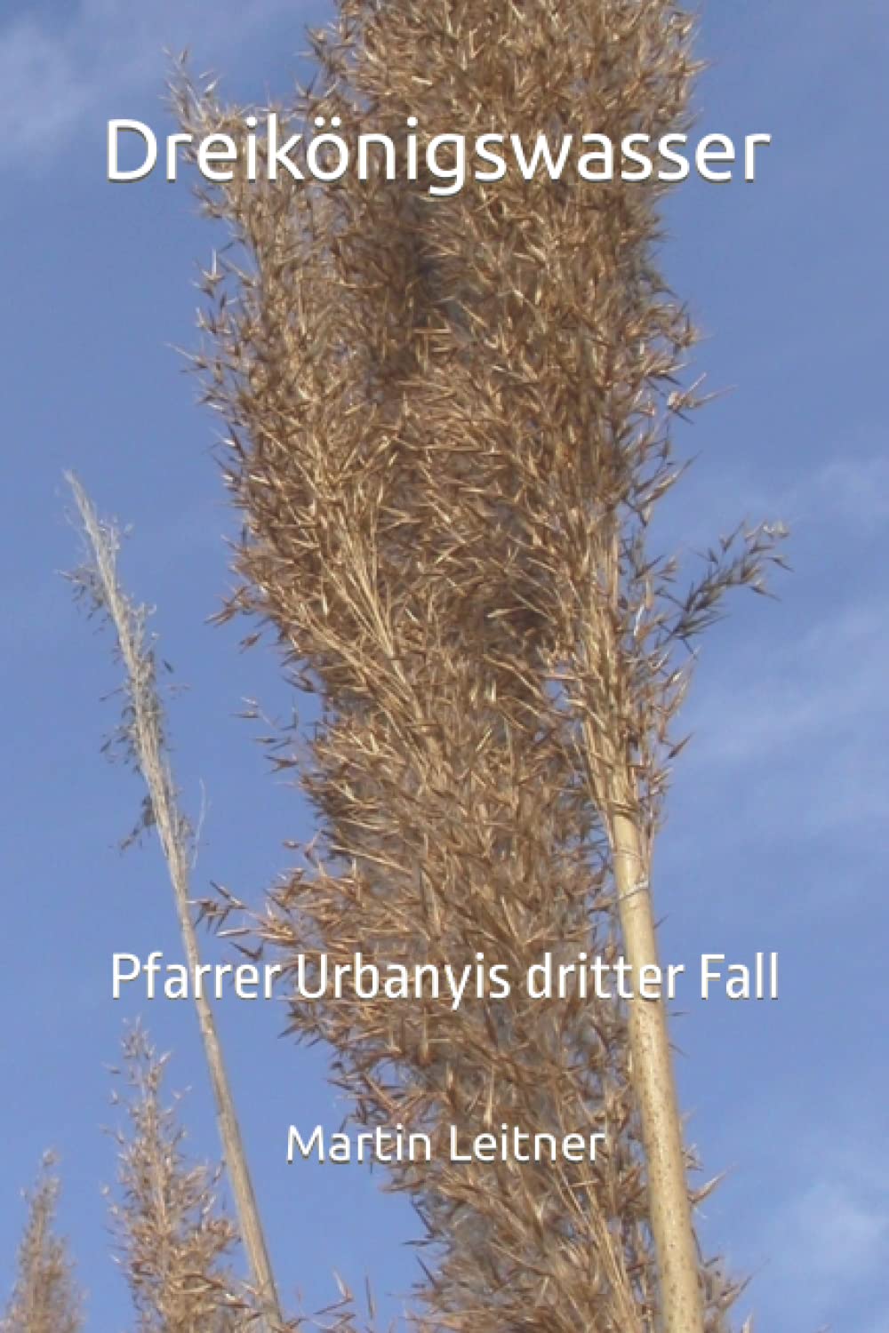 Dreikönigswasser: Pfarrer Urbanyis dritter Fall Contemporary literature