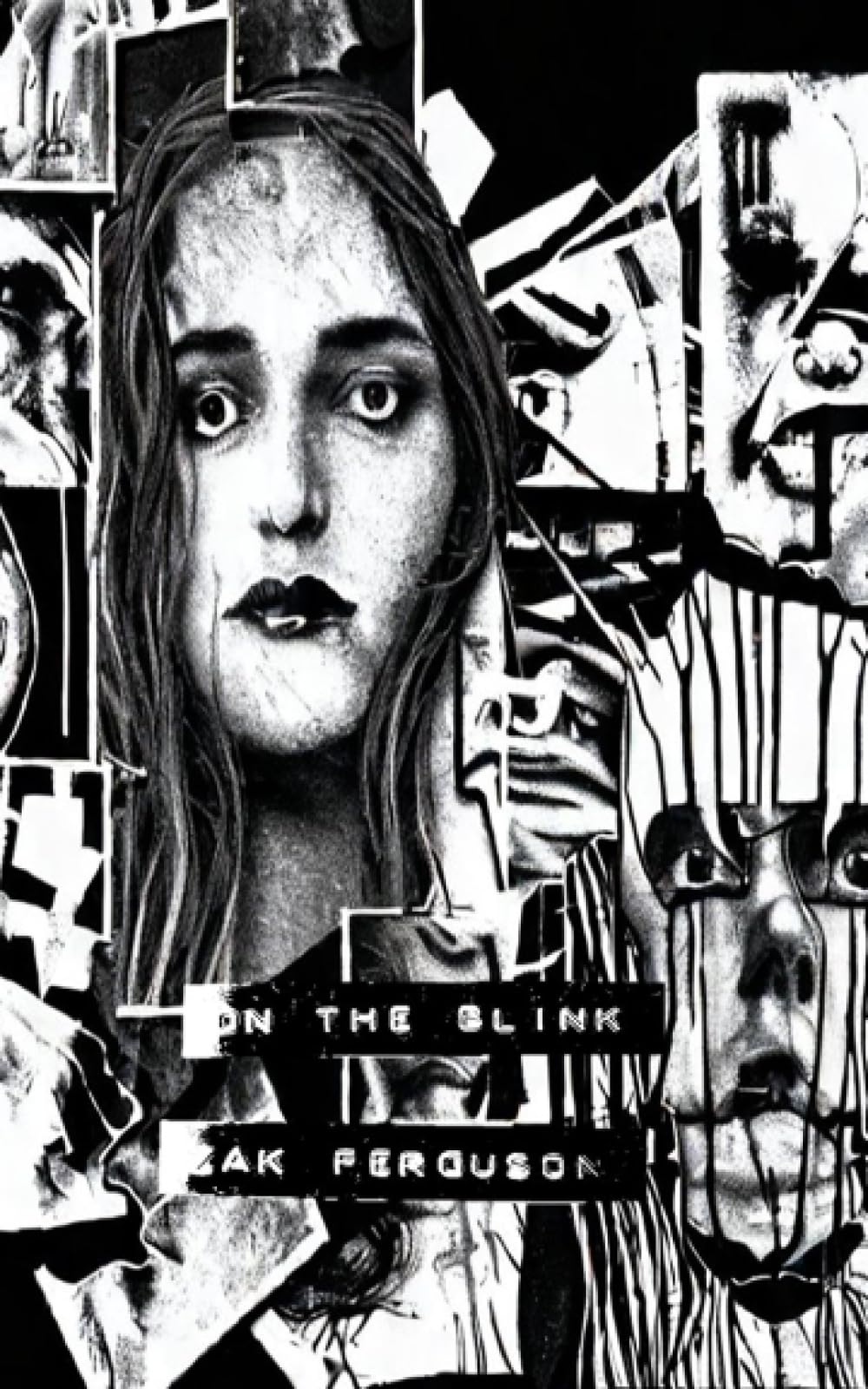 On The Blink Contemporary literature Books