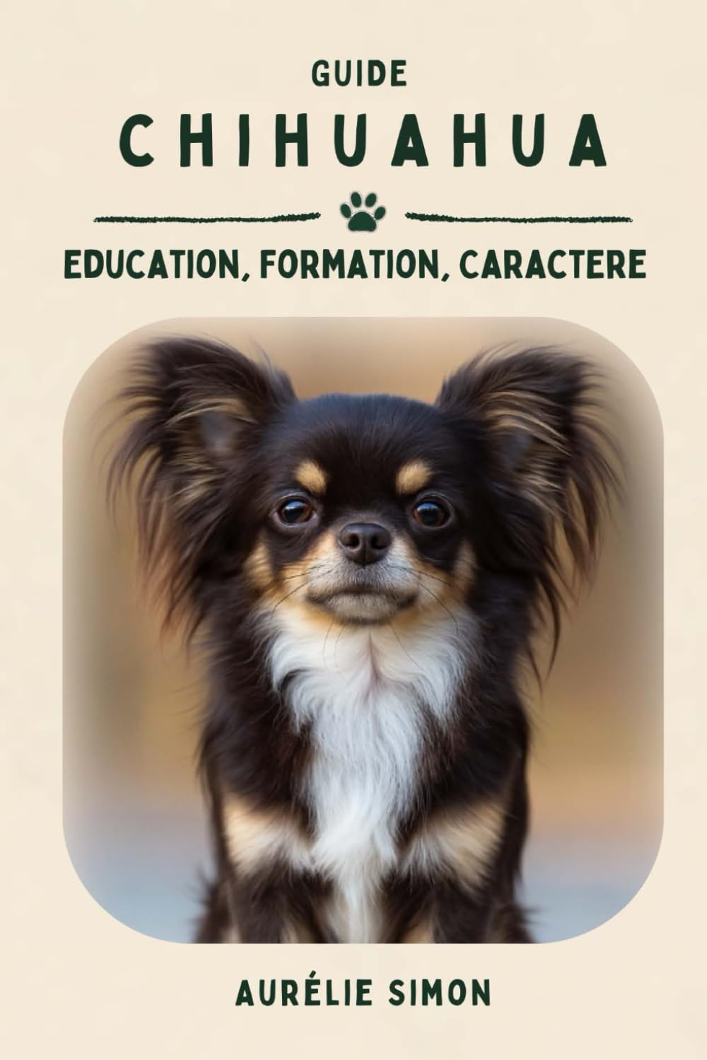 Chihuahua: Éducation, Caractère, Formation Pets