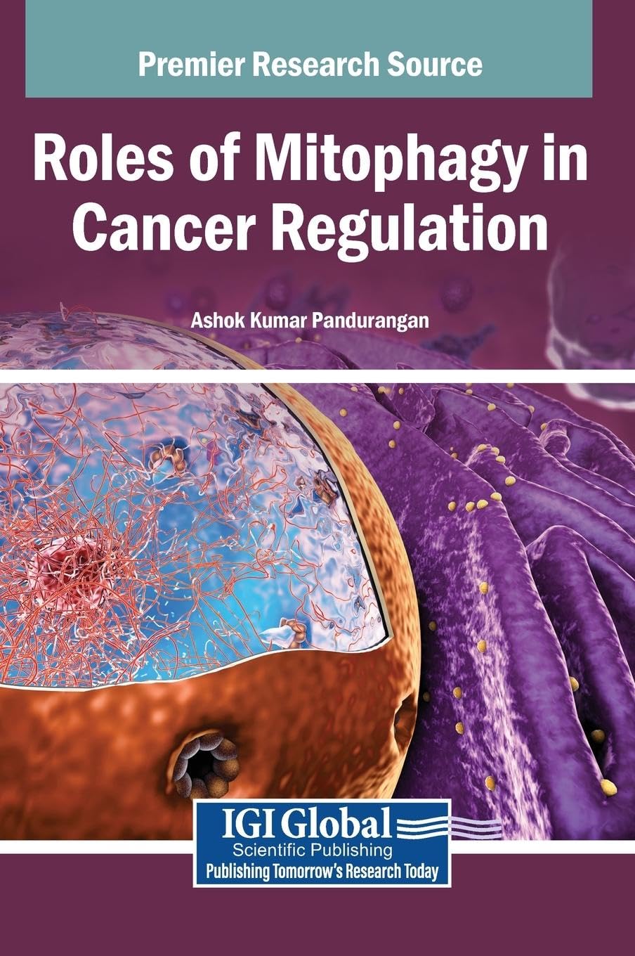Roles of Mitophagy in Cancer Regulation Medicine