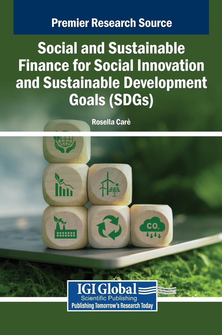 Social and Sustainable Finance for Social Innovation and Sustainable Development Goals (SDGs) Business, Finance & Career