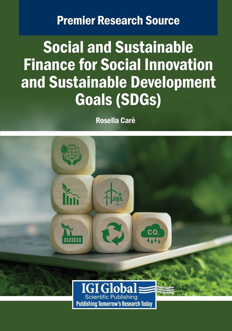 Social and Sustainable Finance for Social Innovation and Sustainable Development Goals (SDGs) Business, Finance & Career