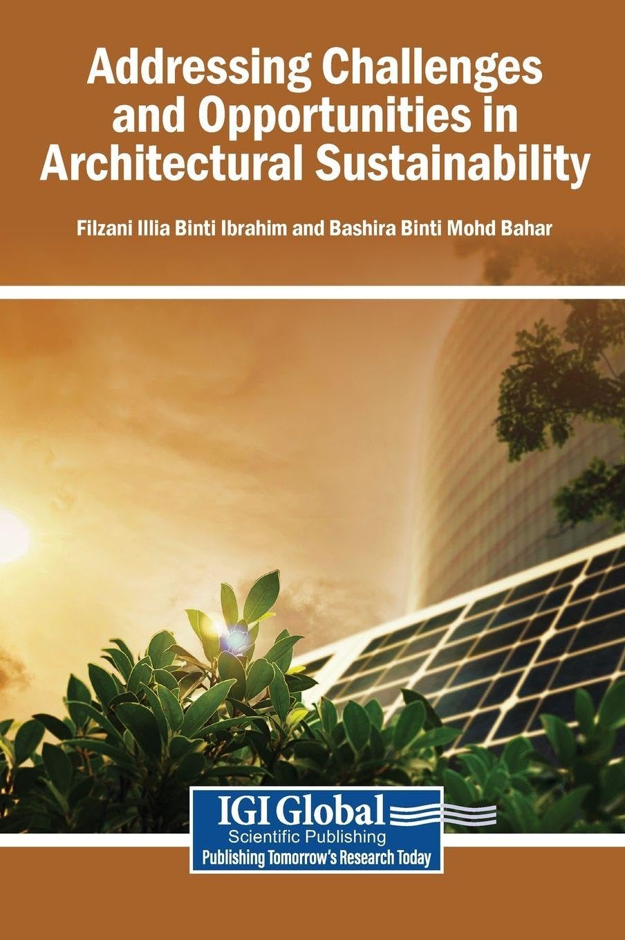 Addressing Challenges and Opportunities in Architectural Sustainability Mathematics