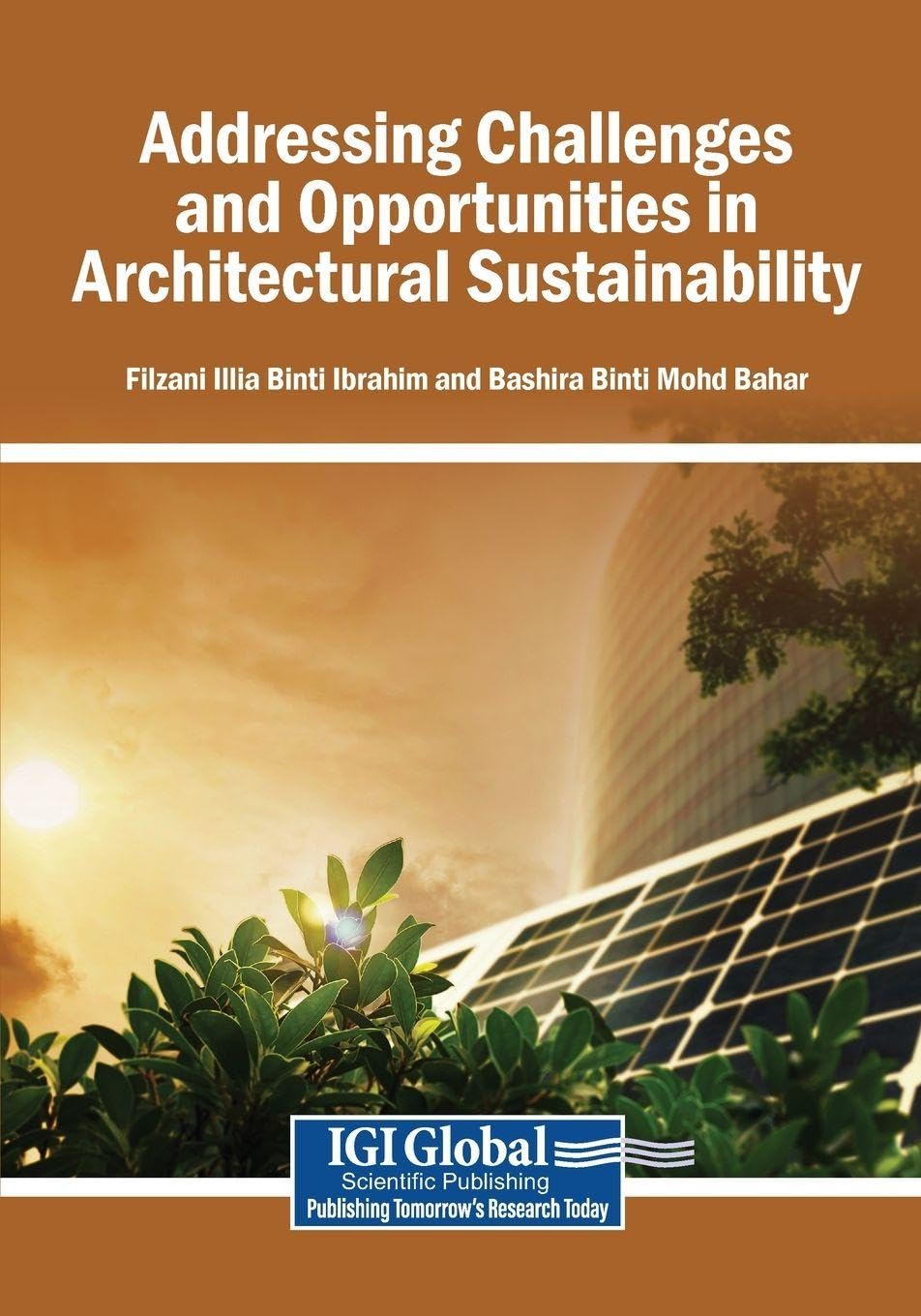 Addressing Challenges and Opportunities in Architectural Sustainability Mathematics