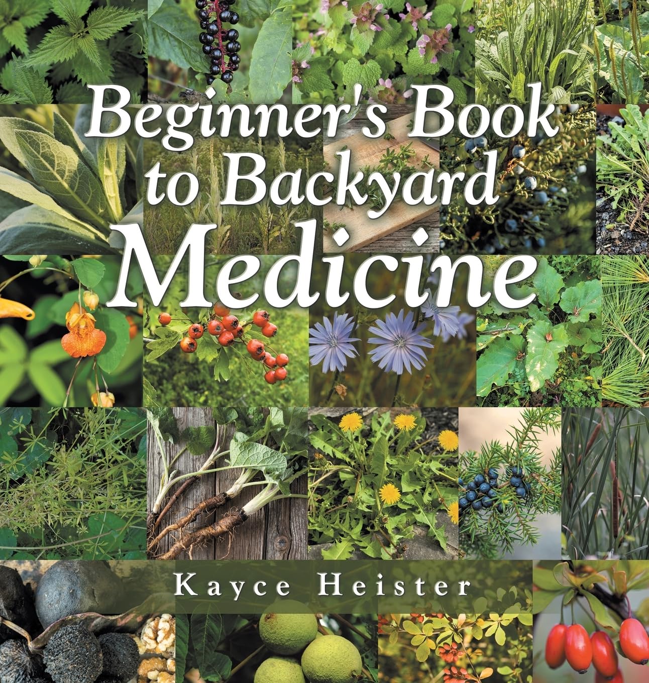 Beginner's Book to Backyard Medicine Health, Nutrition & Fitness