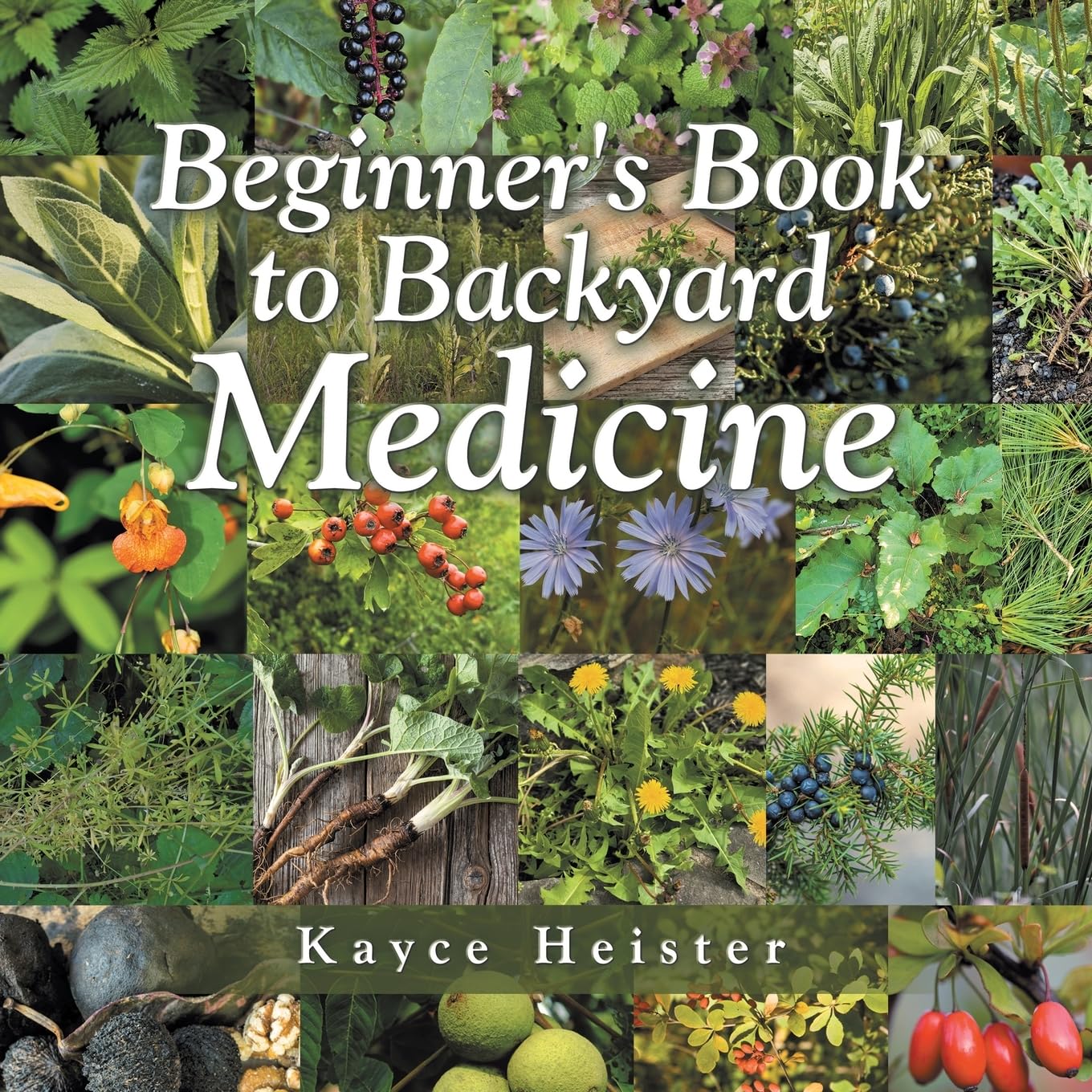 Beginner's Book to Backyard Medicine Health, Nutrition & Fitness