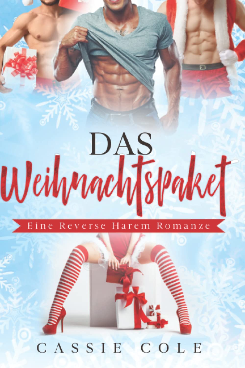 Das Weihnachtspaket: Eine Reverse Harem Romanze New Adult