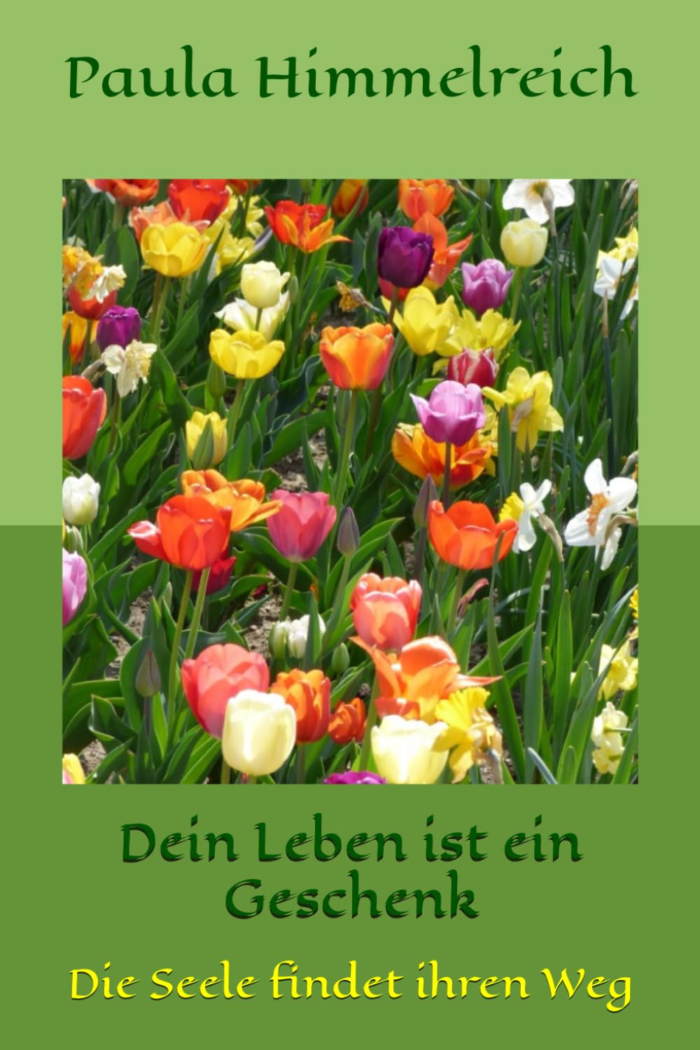 Dein Leben ist ein Geschenk: Die Seele findet ihren Weg book