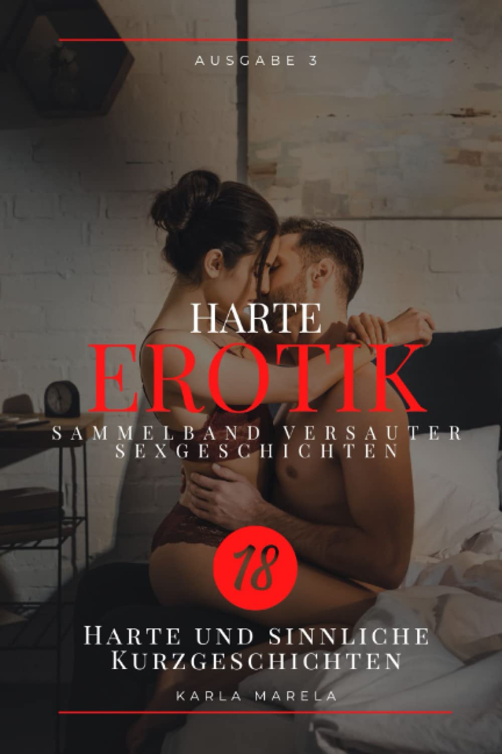Harte Erotik - Sammelband versauter Sexgeschichten: heiße und sinnliche Kurzgeschichten ab 18 unzensiert Eroticism