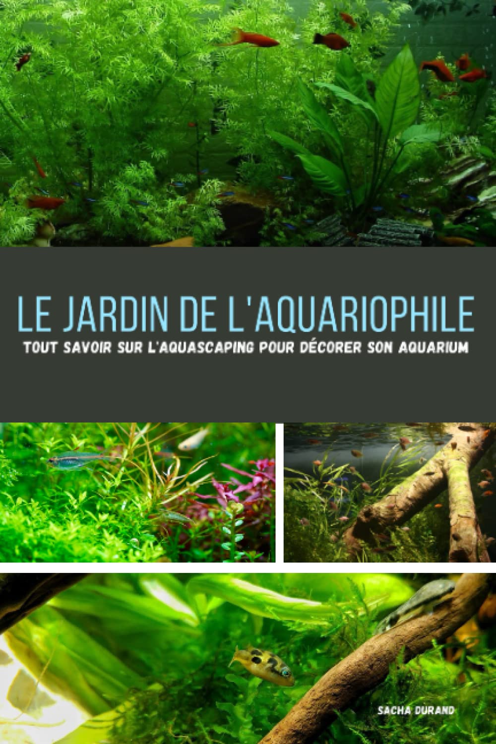 Le jardin de l'aquariophile: Tout savoir sur l'aquascaping pour décorer son aquarium (Les Animaguide) Mathematics