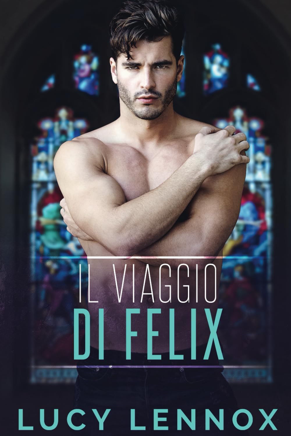 Il Viaggio di Felix book
