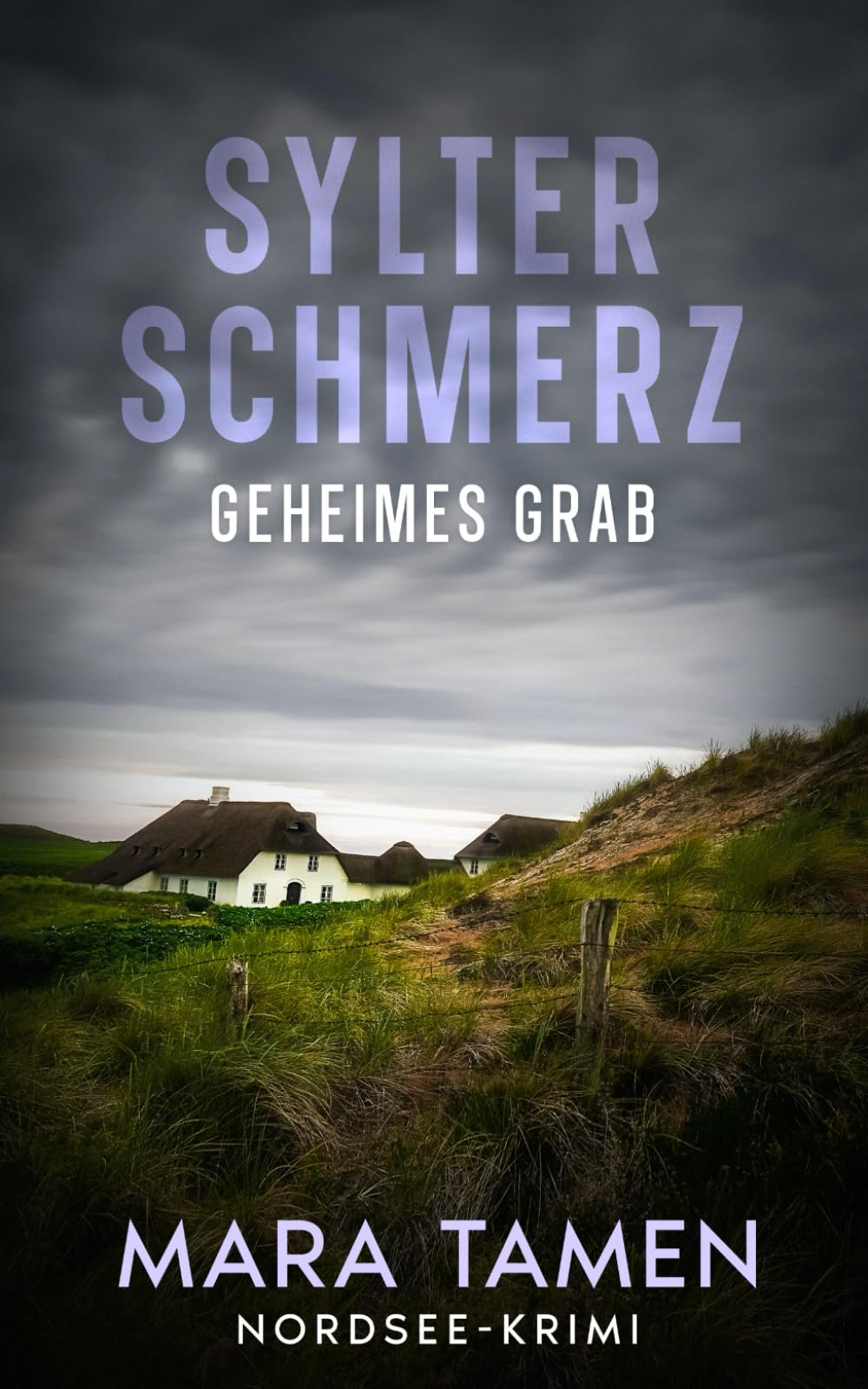 Sylter Schmerz: Geheimes Grab (Sina Marten ermittelt, Band 4) Detective & CSI