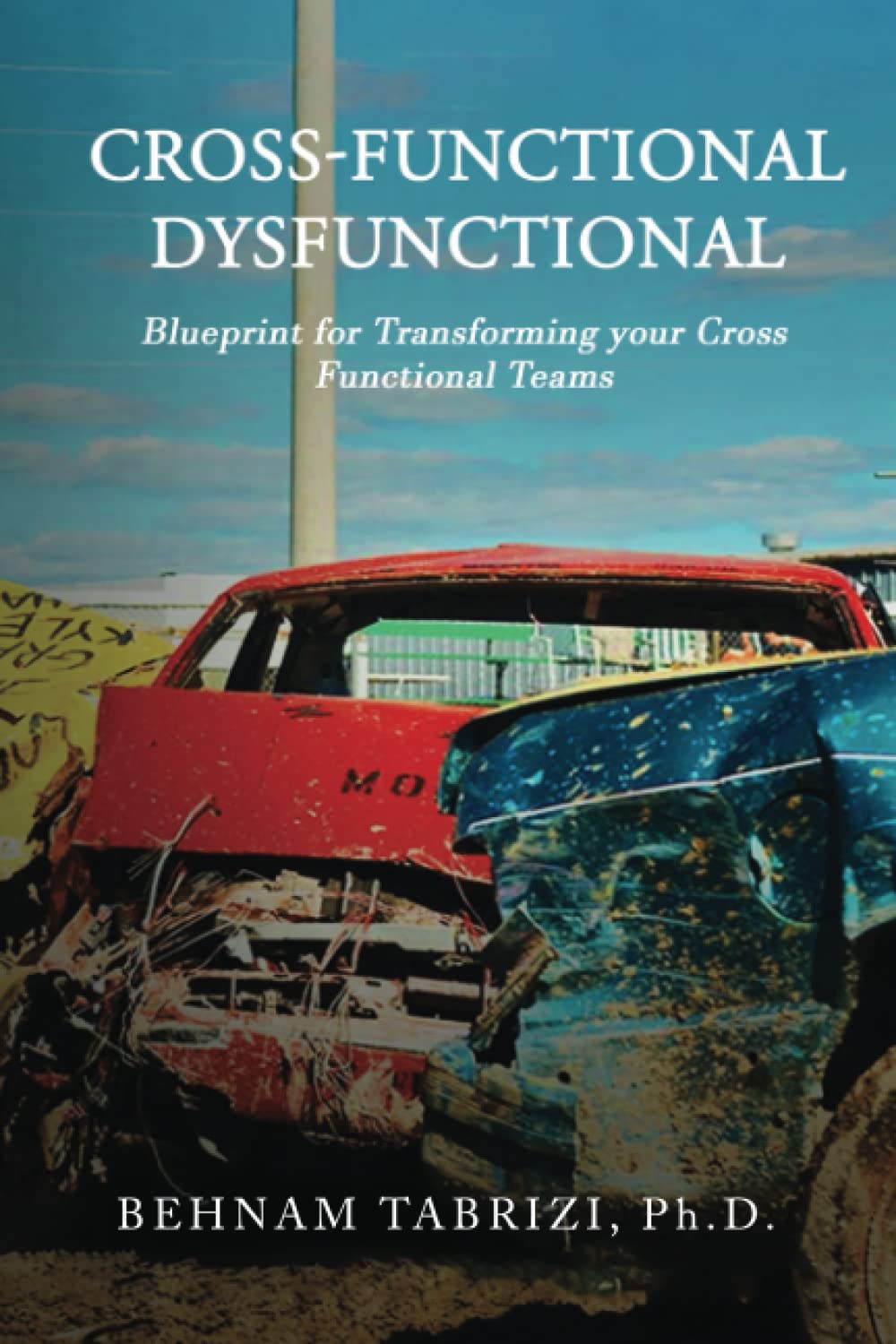 Cross-Functional Dysfunctional: Blueprint for Transforming your Cross Functional Teams book