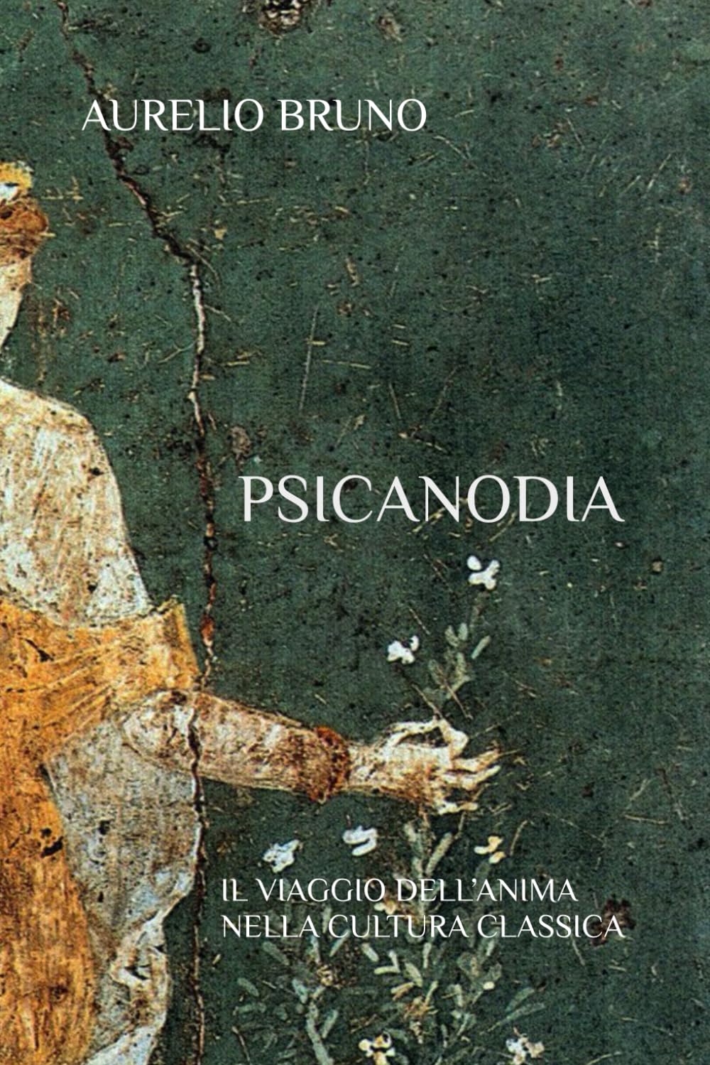 PSICANODIA, IL VIAGGIO DELL’ANIMA NELLA CULTURA CLASSICA book