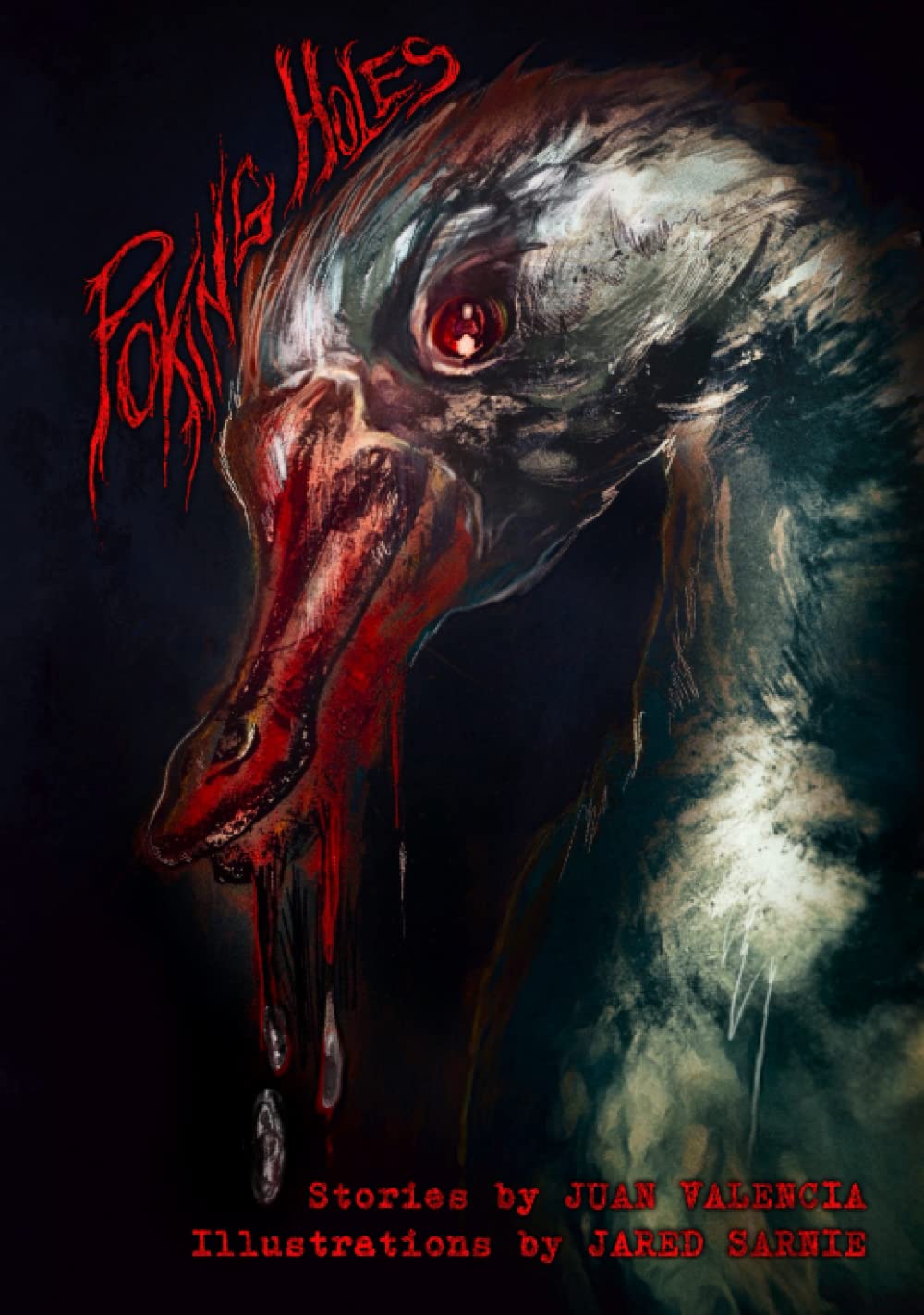 Poking Holes: The Illustrated Edition Horror & Mystery