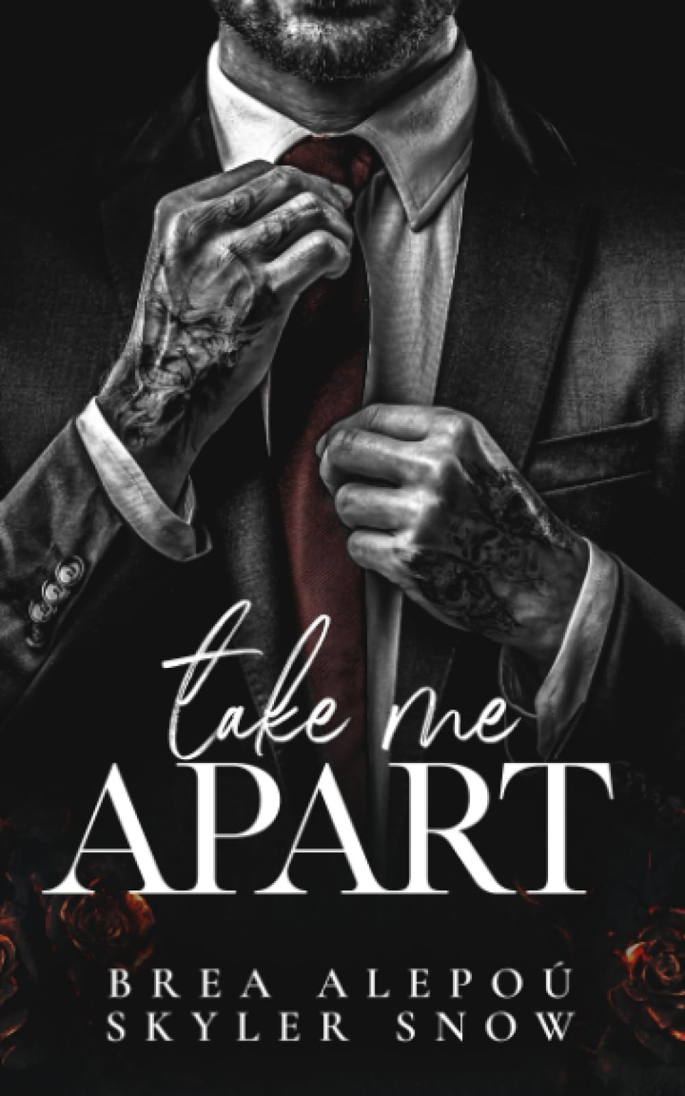 Take Me Apart (Vitale Brothers, Band 1) LGBTQ+