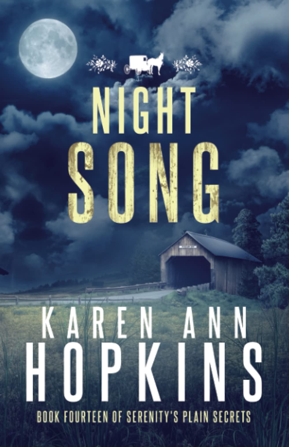 Night Song (Serenity's Plain Secrets, Band 14) Detective & CSI