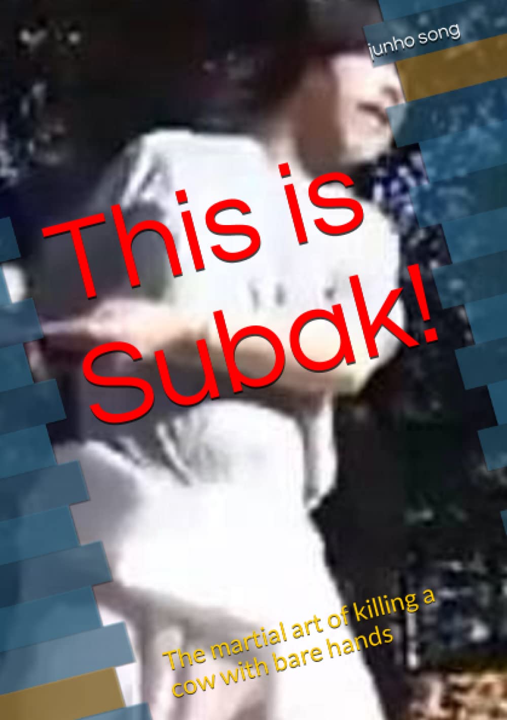 This is Subak!: The martial art of killing a cow with bare hands (Traditional martial arts Subak, Band 1) Leisure & Fun
