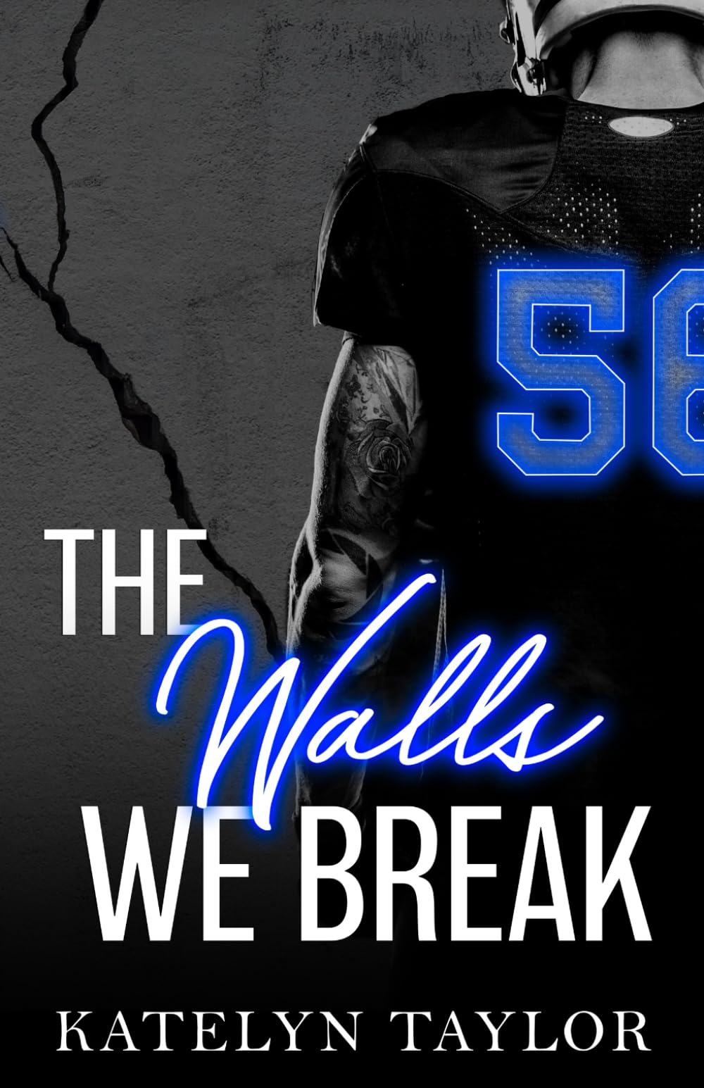 The Walls We Break (The Alphaletes, Band 2) Contemporary literature