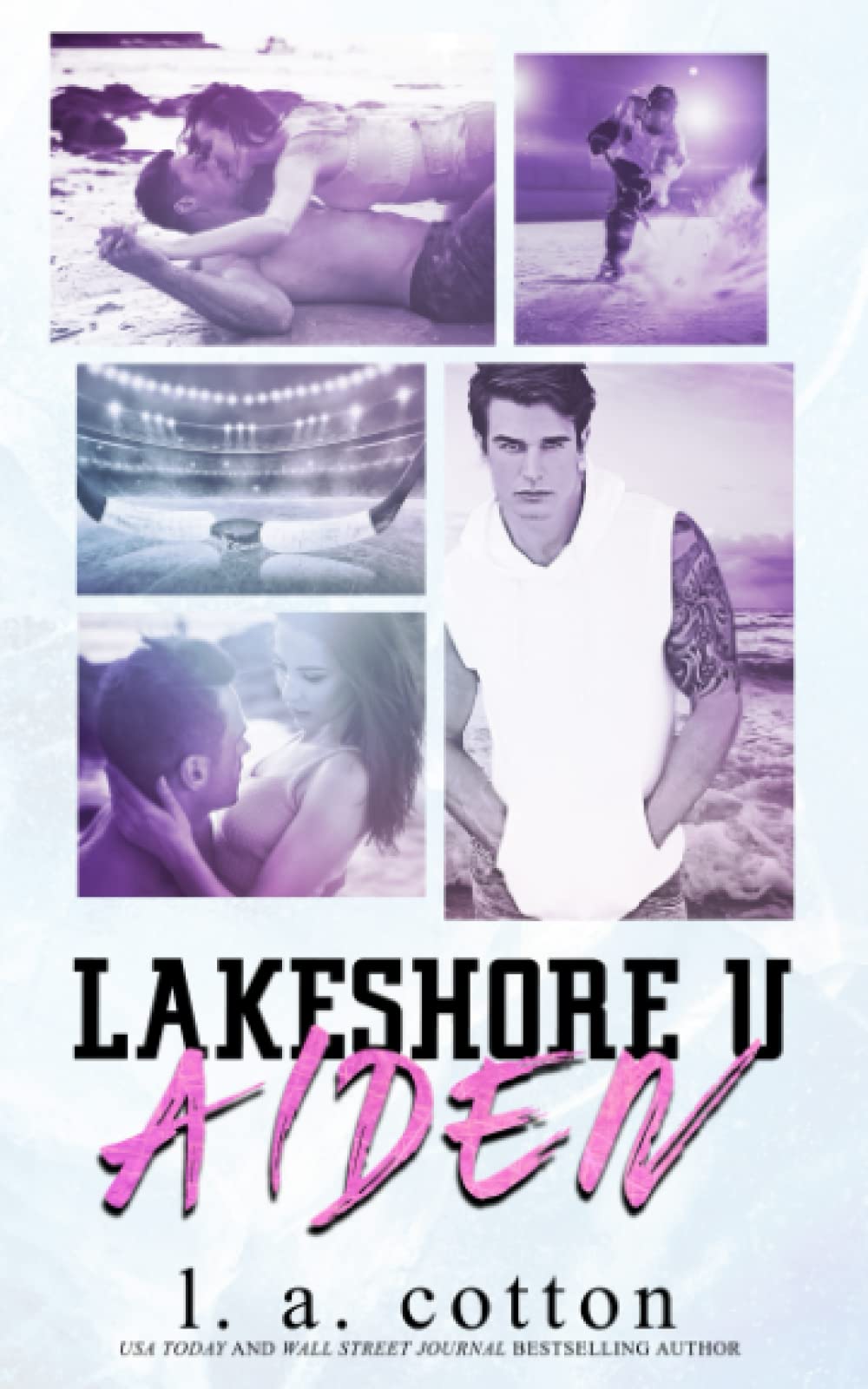Lakeshore U - AIDEN (Serie Lakeshore U) Contemporary literature