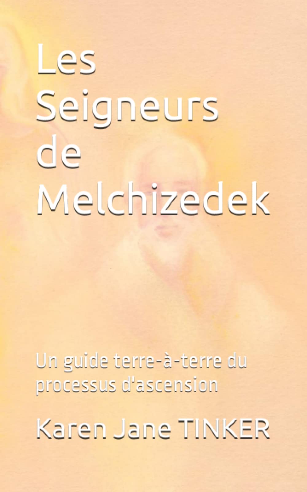 Les Seigneurs de Melchizedek: Un guide terre-à-terre du processus d'ascension et d'évolution humaine book