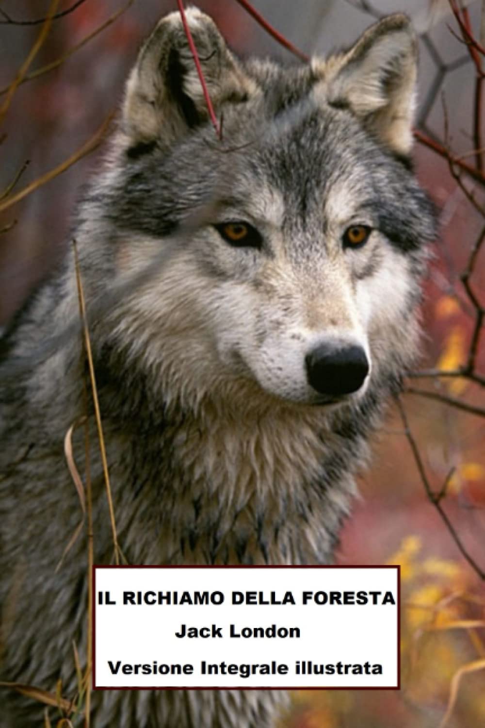Il richiamo della foresta: Versione integrale arricchita da splendide e rare foto sulle dure condizioni di vita dei cercatori d'oro e avventurieri dell'Alaska book