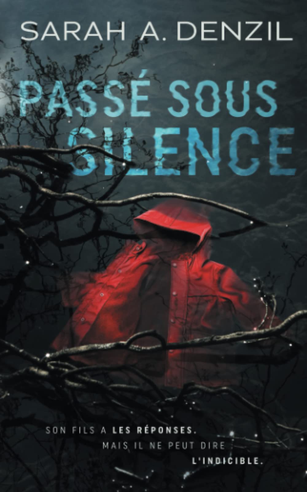 Passé sous silence (Aiden Price, Band 1) Contemporary literature