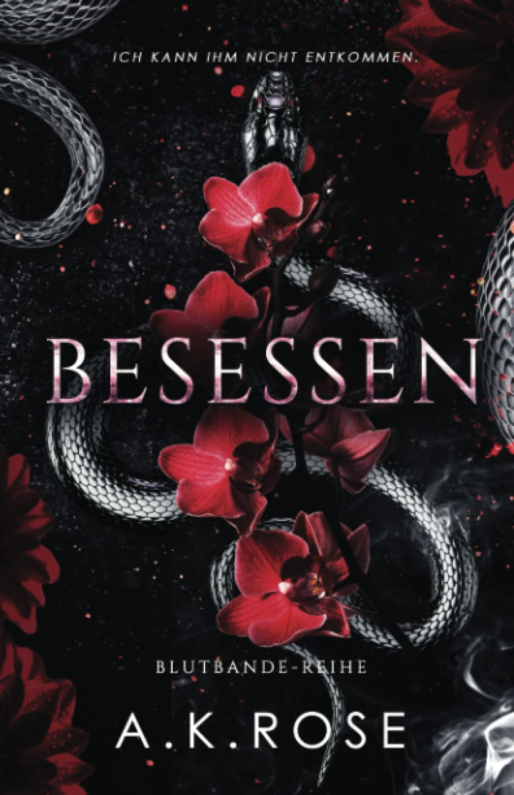 Besessen (Die Blutbande-Reihe, Band 4) Romantic Thrillers
