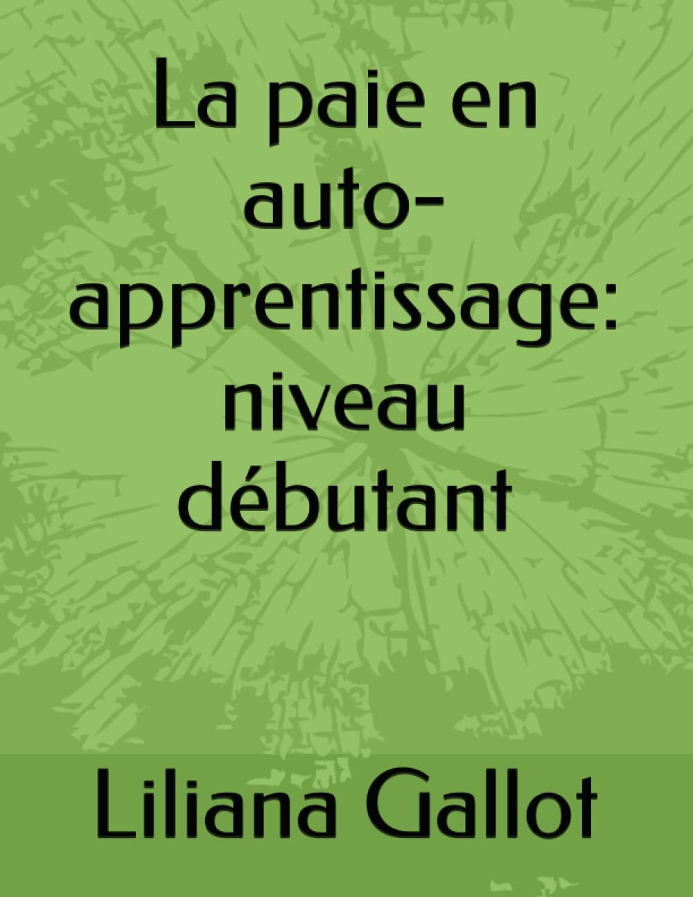 La paie en auto-apprentissage : niveau débutant Study Guides