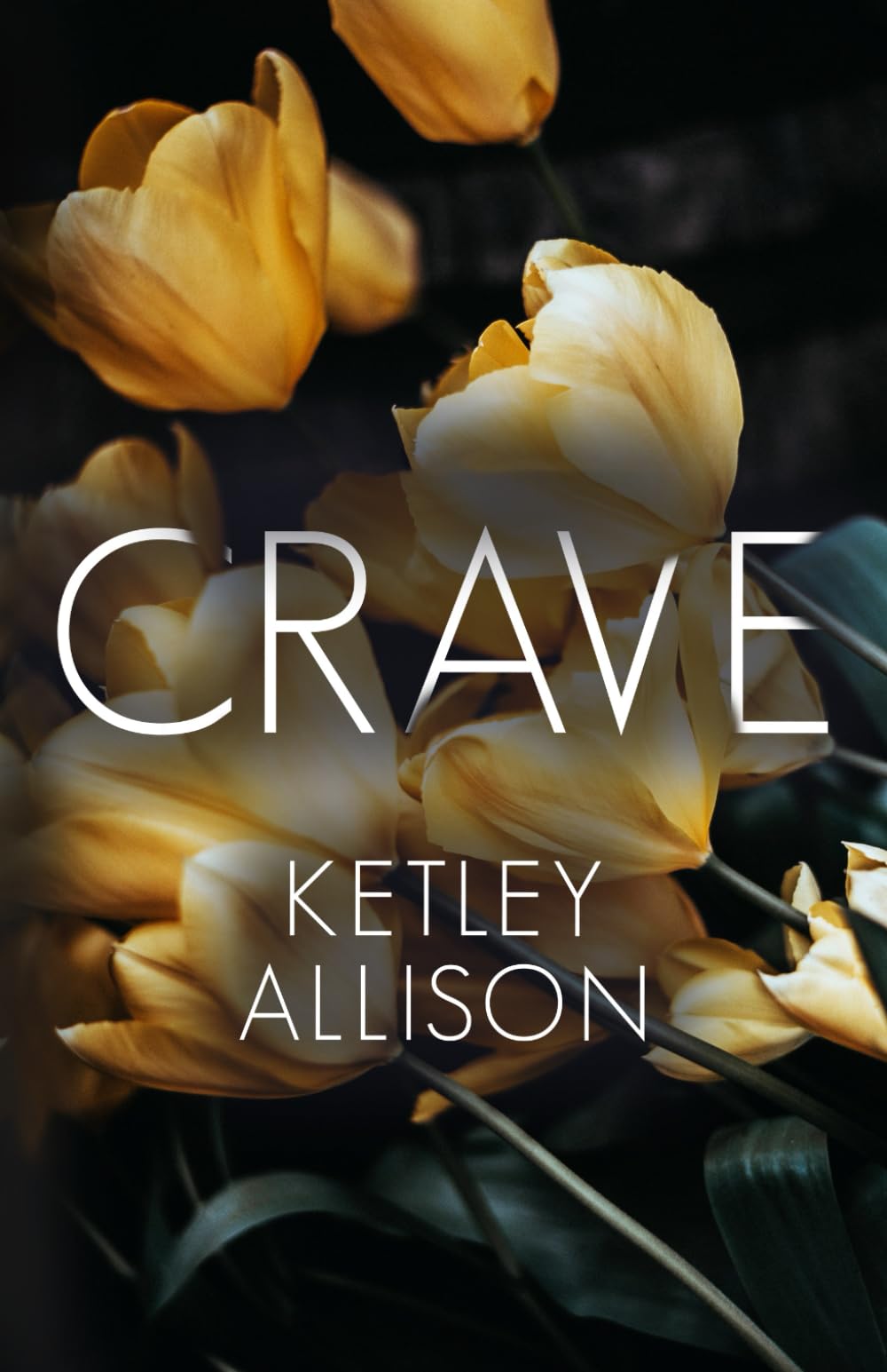 Crave: Ein eingebildeter Chefkoch in einem heißen Einzelroman (Vom Player zum Liebhaber) New Adult