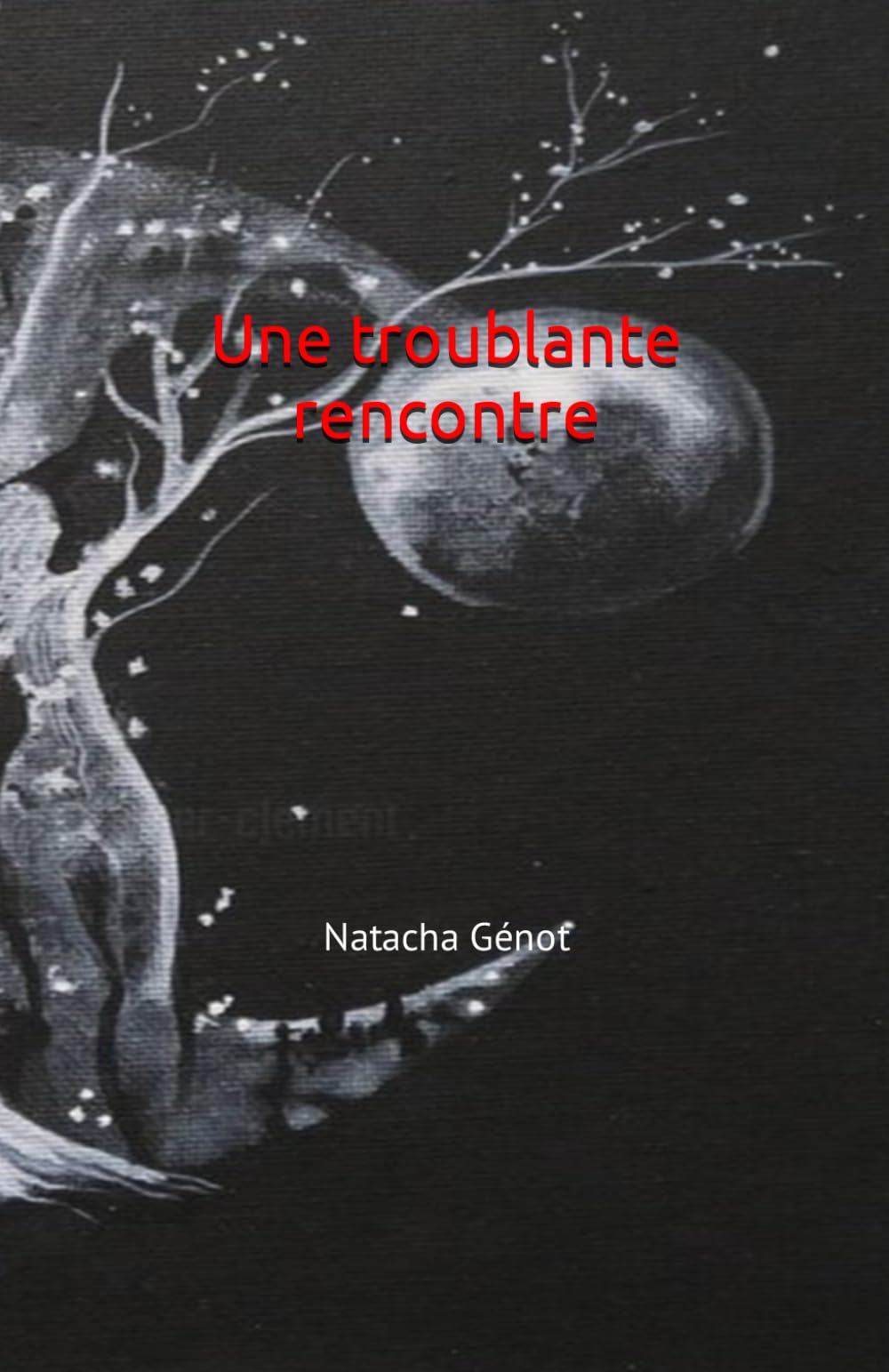 une rencontre troublante book