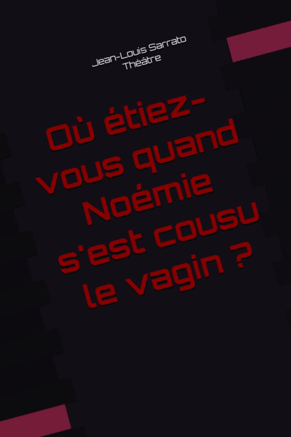 Où étiez-vous quand Noémie s'est cousu le vagin ? book