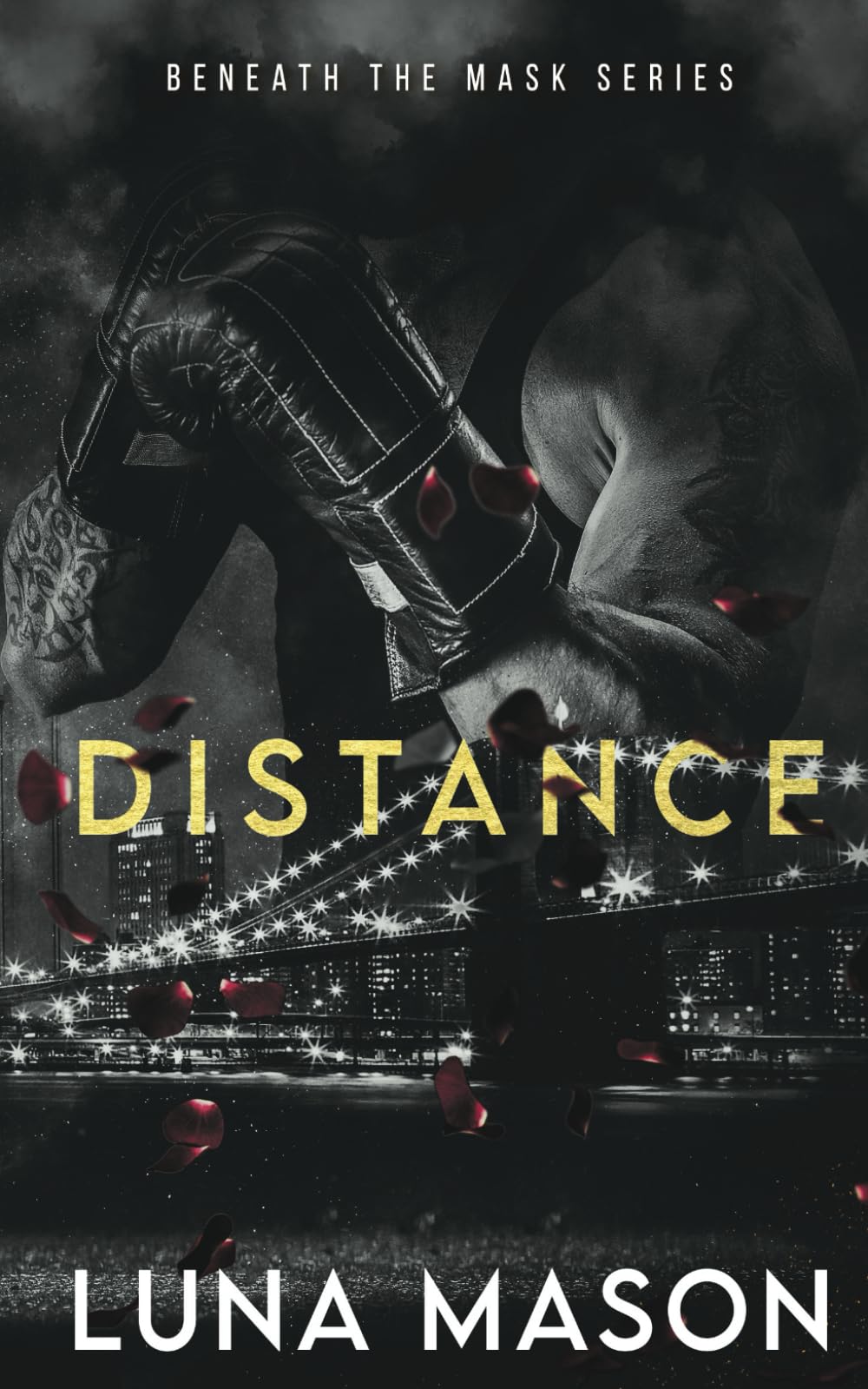 Distance: A Dark Mafia Romance (Beneath The Mask Series, Band 1) Eroticism