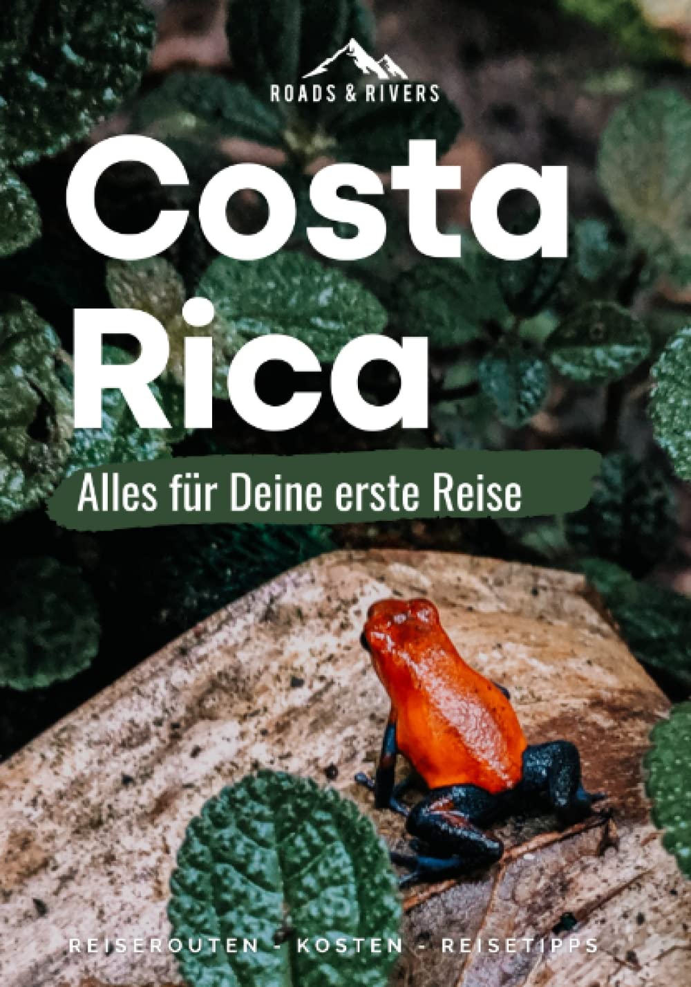 Costa Rica I Alles für Deine erste Reise: Reiseführer für Individualreisende | Roadtrip-Reiserouten für 2 & 3-4 Wochen, Top-Highlights, Reisetipps Politics & History
