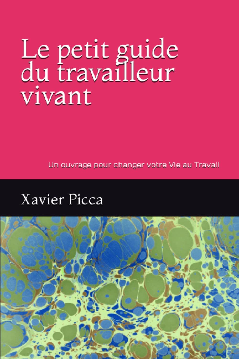 Le petit guide du travailleur vivant: Boulot ingrat ou trop exposé, excès de responsabilité ou ennui profond ; Ce livre est là pour réveiller la ... et vibrer un peu plus chaque jour ! book