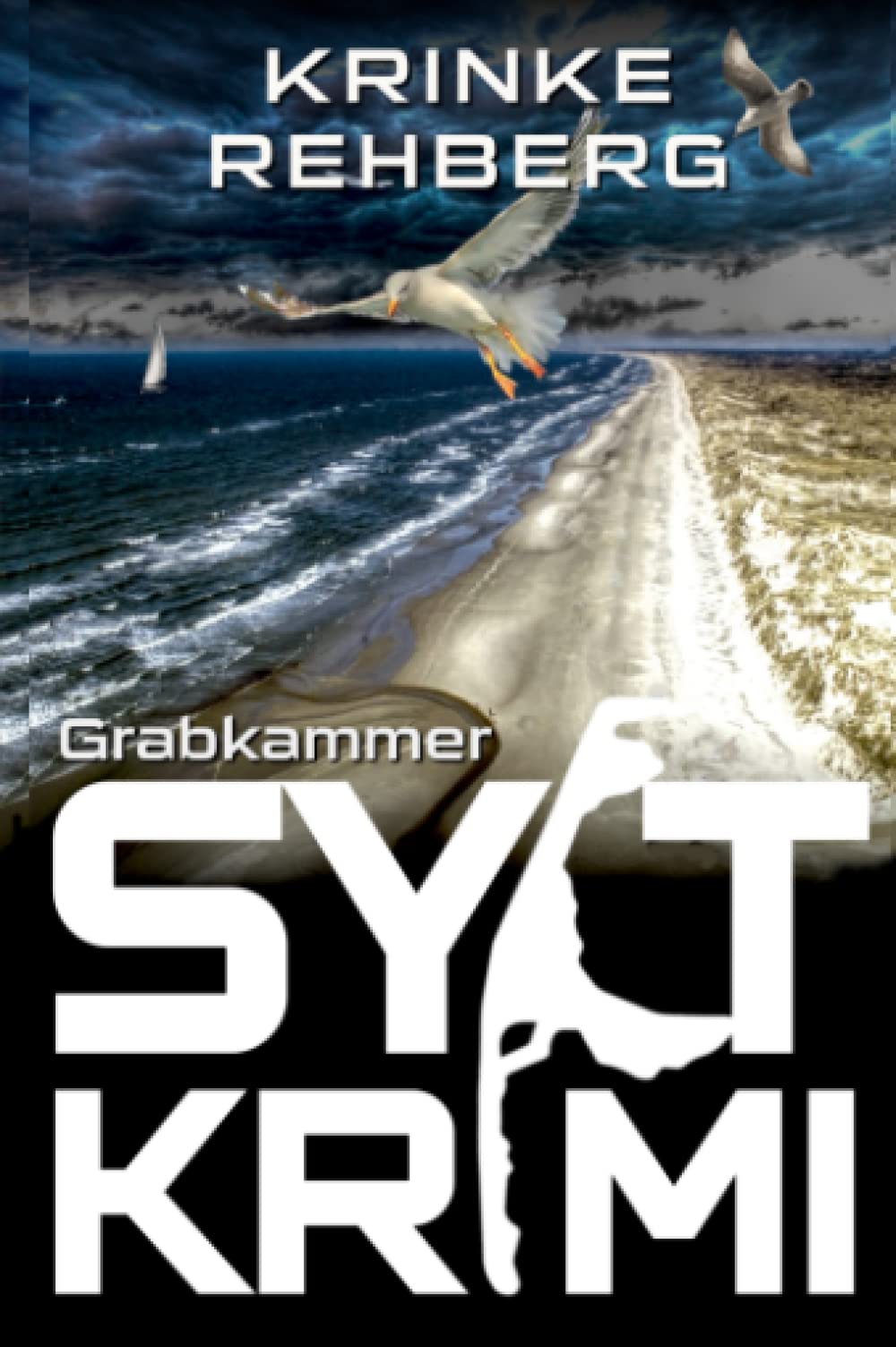 SYLTKRIMI Grabkammer: Küstenkrimi (Nordseekrimi) Social Sciences