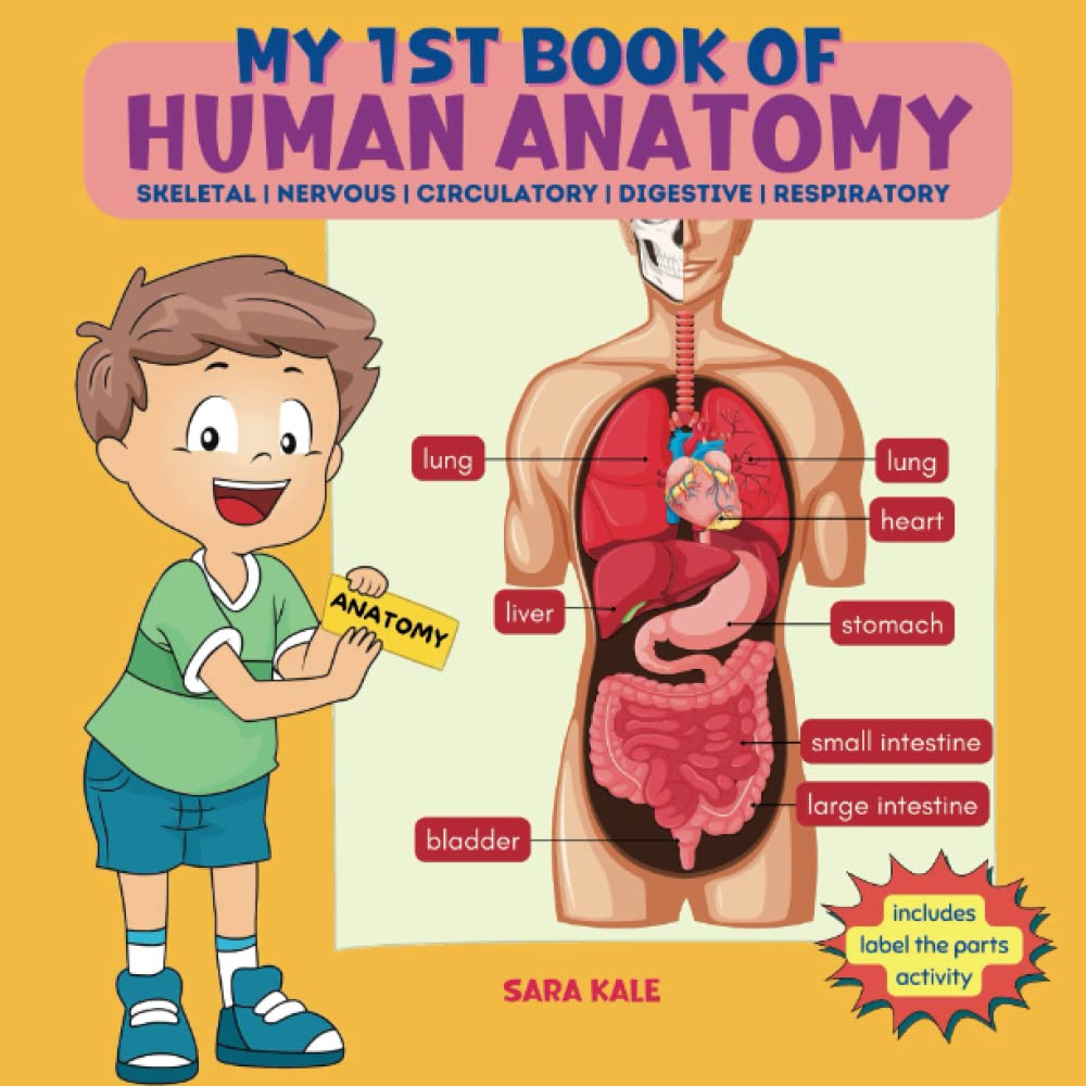 My 1st Book of Human Anatomy: Discovering the Human Body Systems, Parts, and Organs, with a Labeling Activity for Different Body Systems (Healthy Me Series, Band 3) Medicine