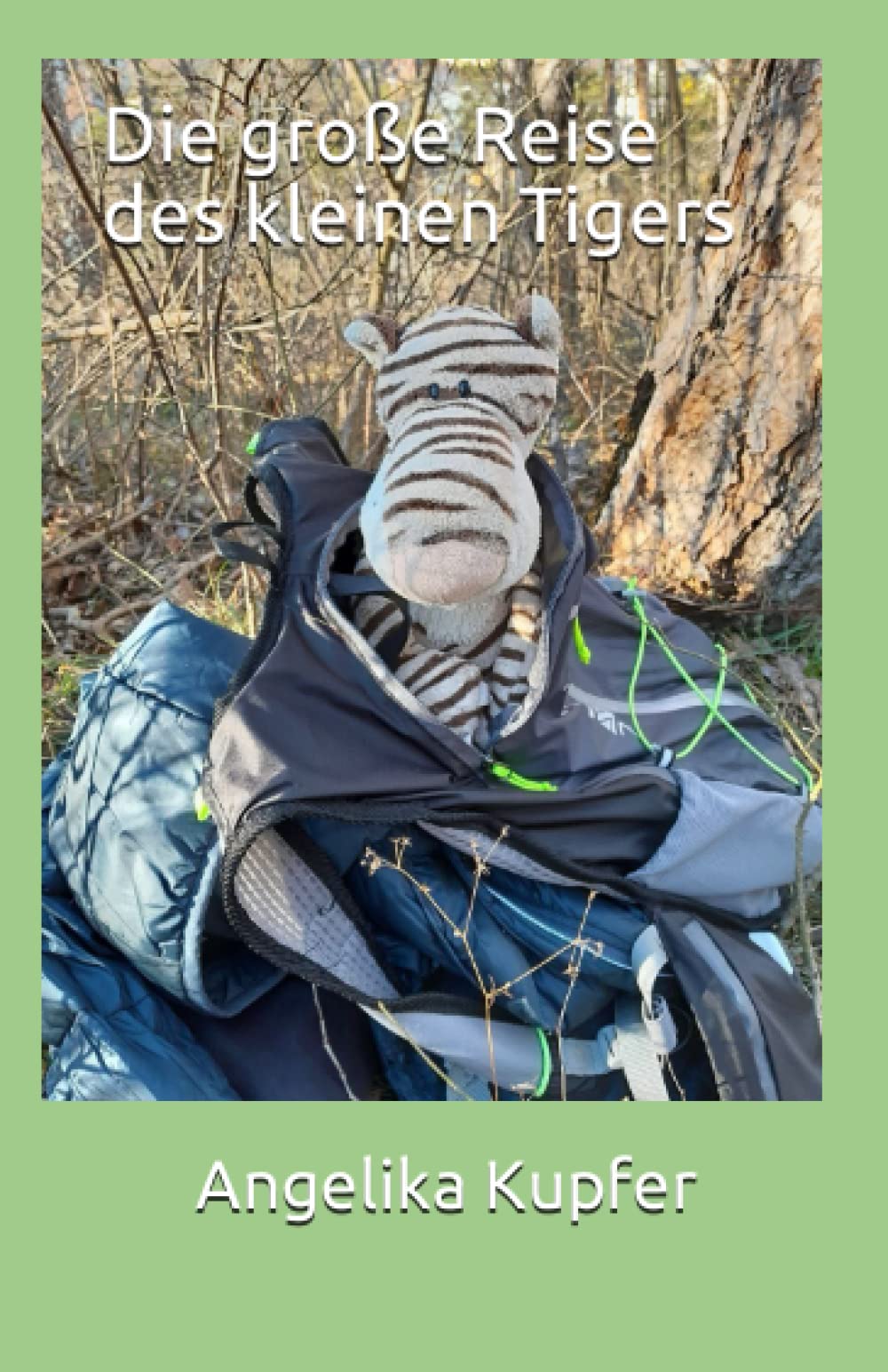Die große Reise des kleinen Tigers book