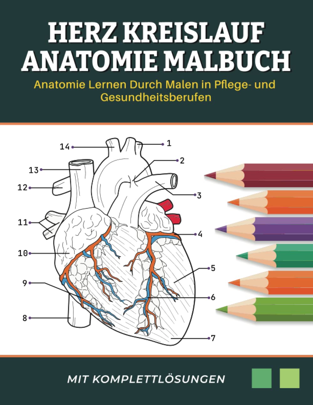Herz Kreislauf Anatomie Malbuch - Anatomie Lernen Durch Malen in Pflege- und Gesundheitsberufen: herz kreislauf system buch | anatomie lernen durch malen Medicine