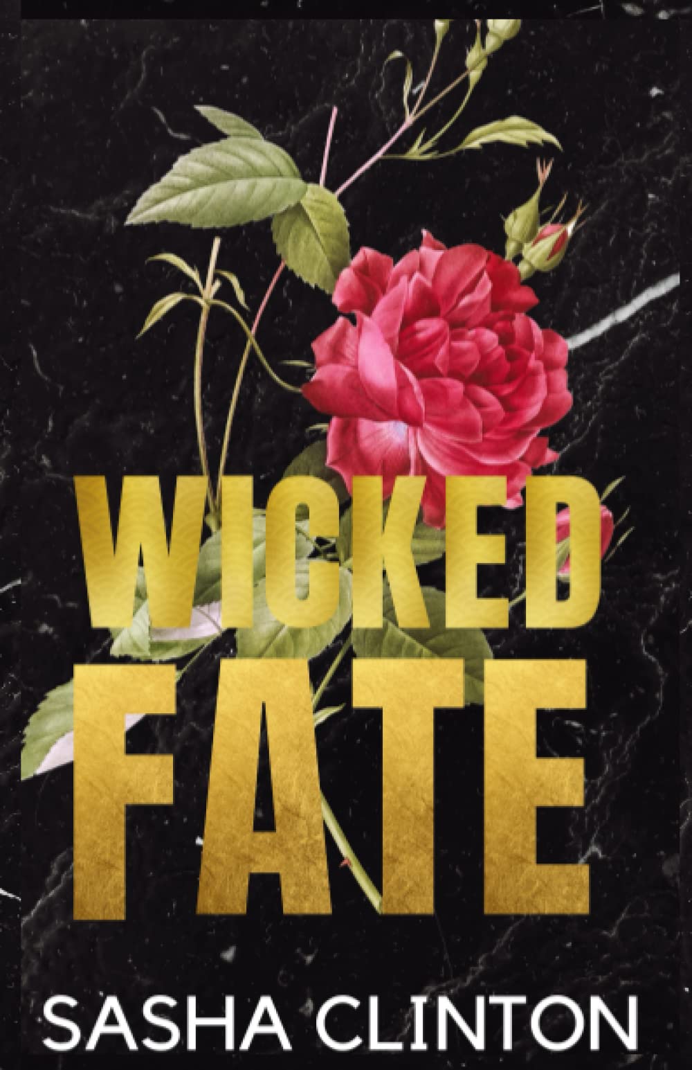 Wicked Fate (Wicked Men, Band 1) New Adult