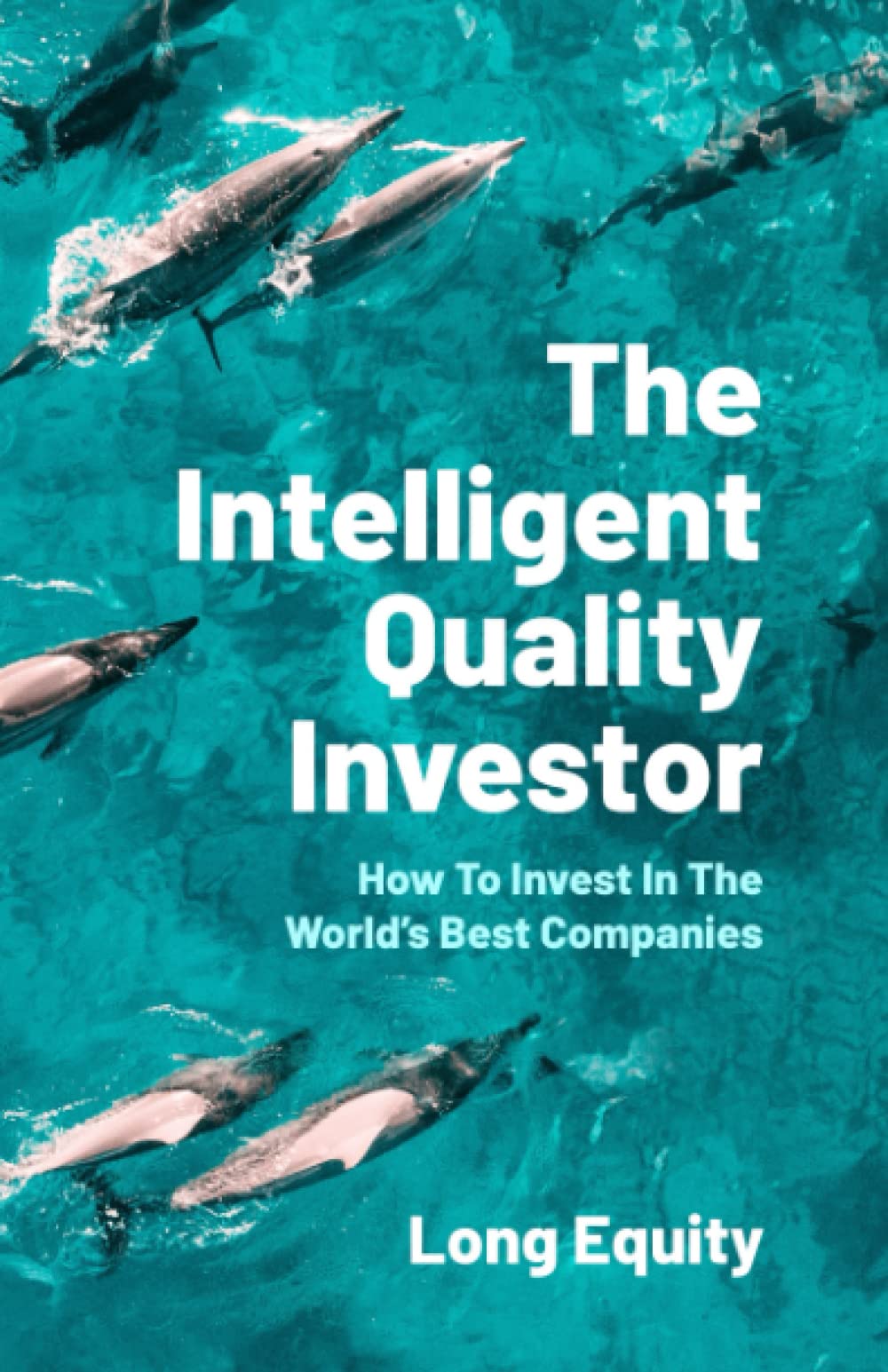 The Intelligent Quality Investor: How To Invest In The World’s Best Companies Business, Finance & Career