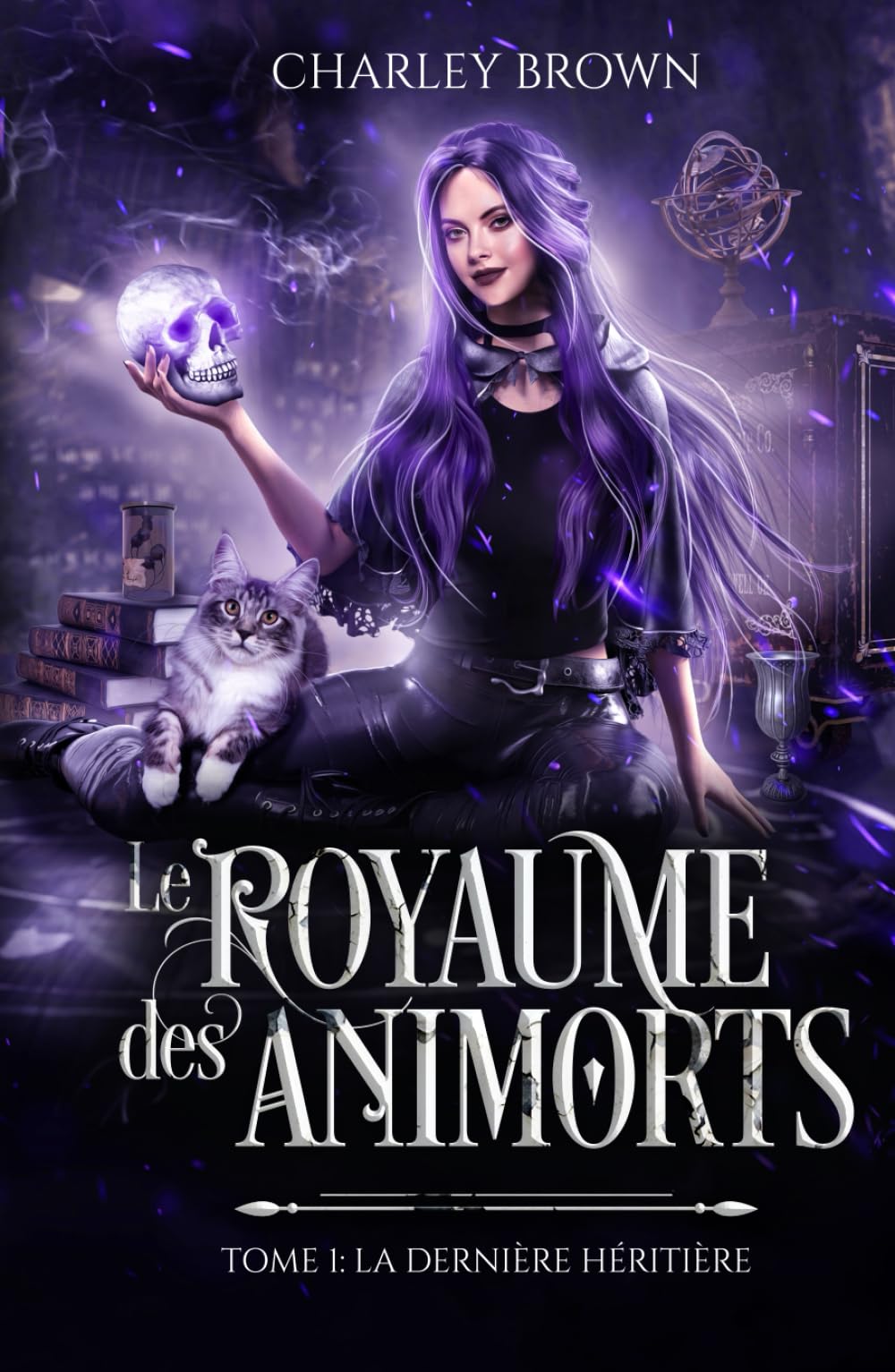 Le Royaume des Animorts: Tome 1 - La dernière héritière book