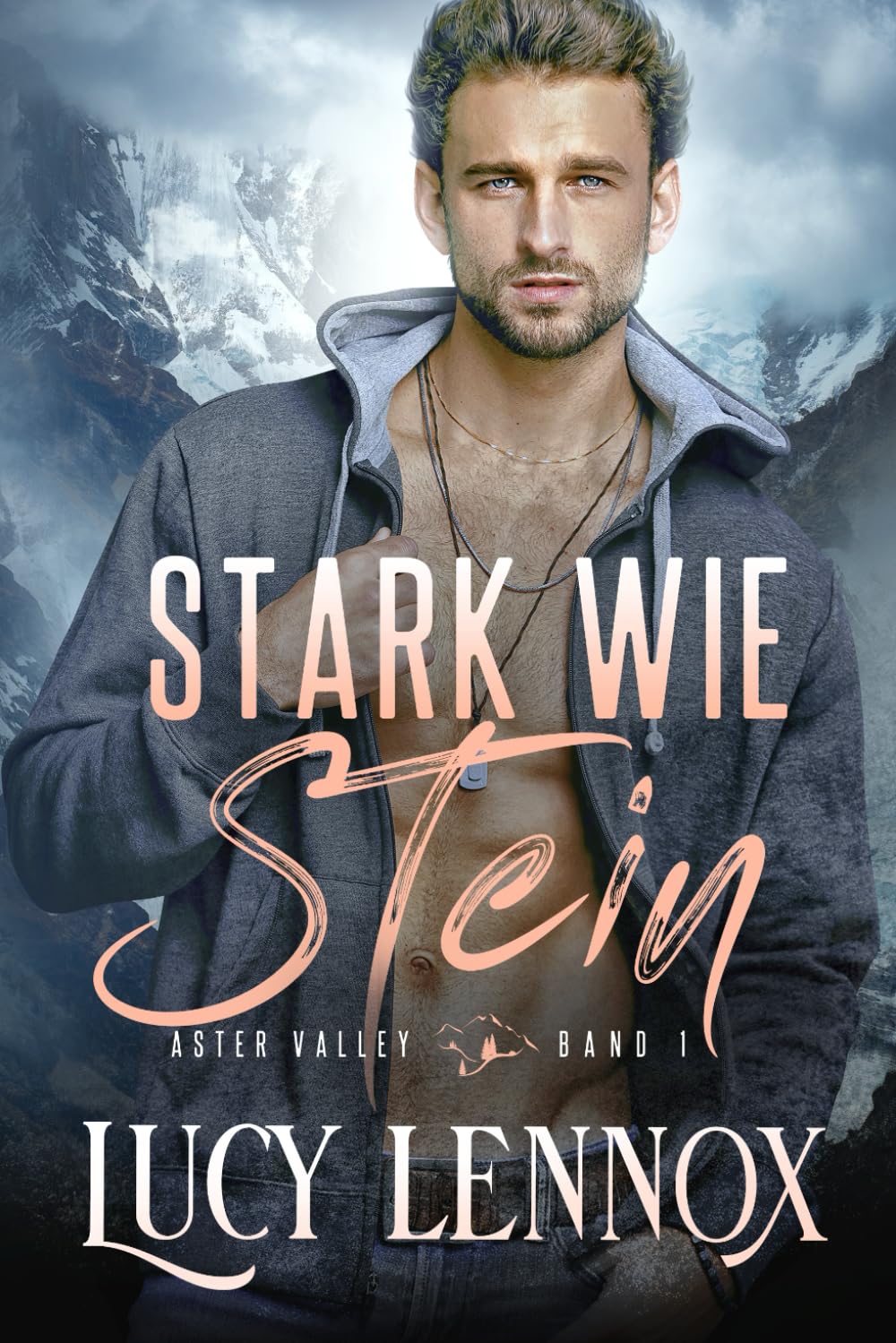 Stark wie Stein (Aster Valley (German), Band 1) LGBTQ+