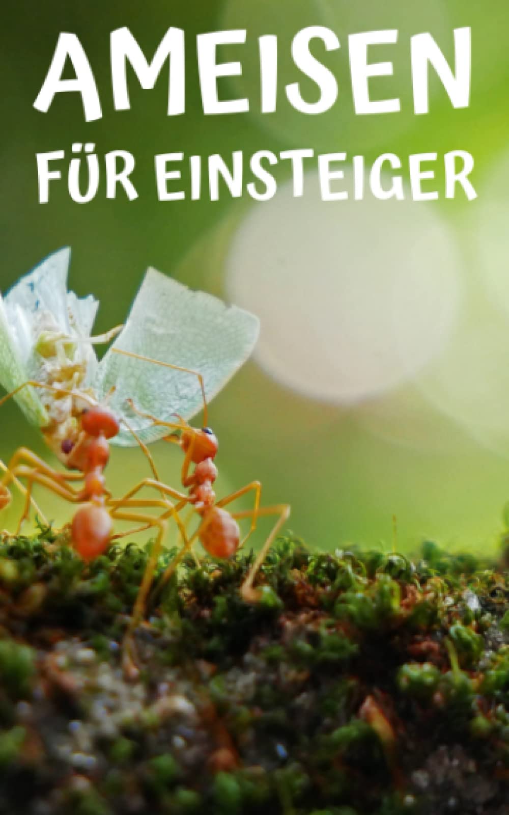 Ameisen für Einsteiger: Ratgeber für erfolgreiches Ameisen halten in einer Ameisenfarm für Anfänger Mathematics