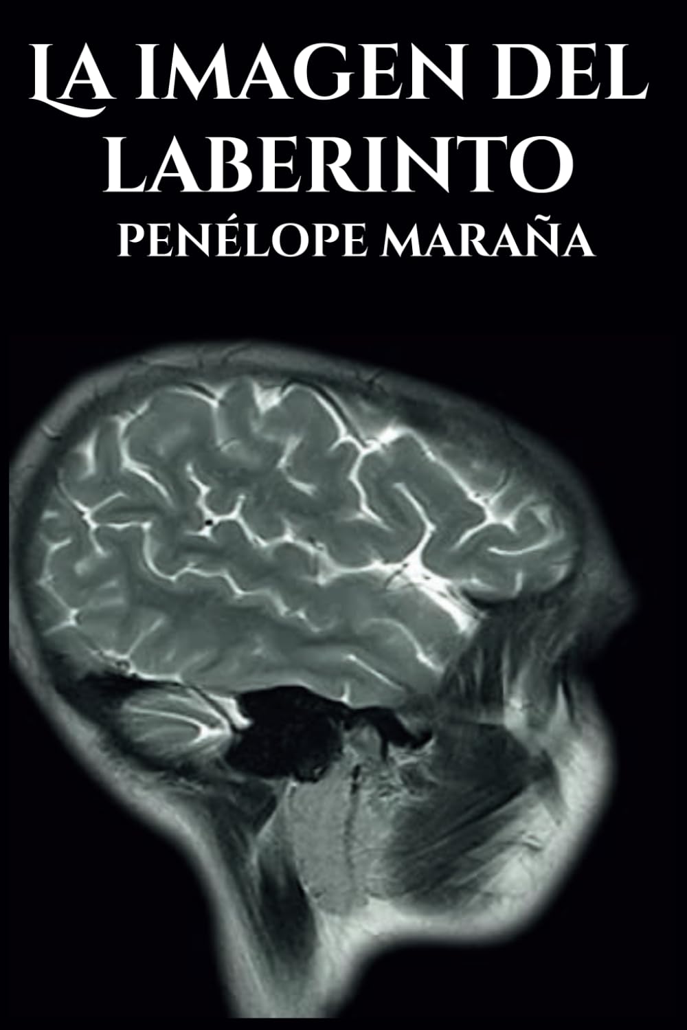 La imagen del laberinto book
