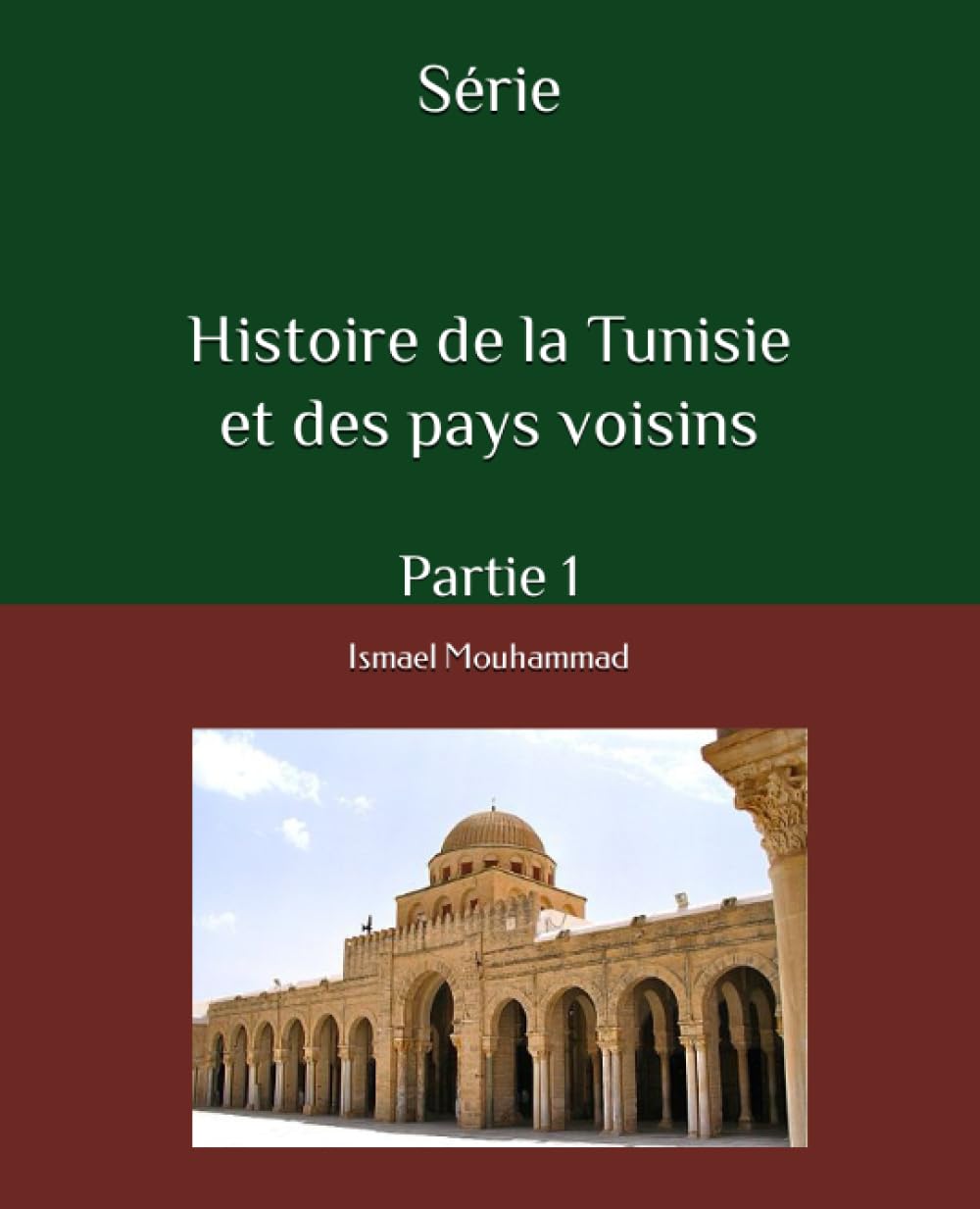 Série de l'histoire de Tunisie et des pays voisins: Partie 1 book
