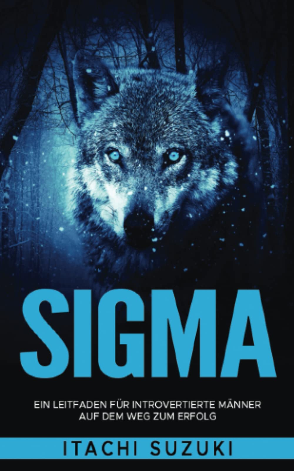 SIGMA: Ein Leitfaden für introvertierte Männer auf dem Weg zum Erfolg Business, Finance & Career