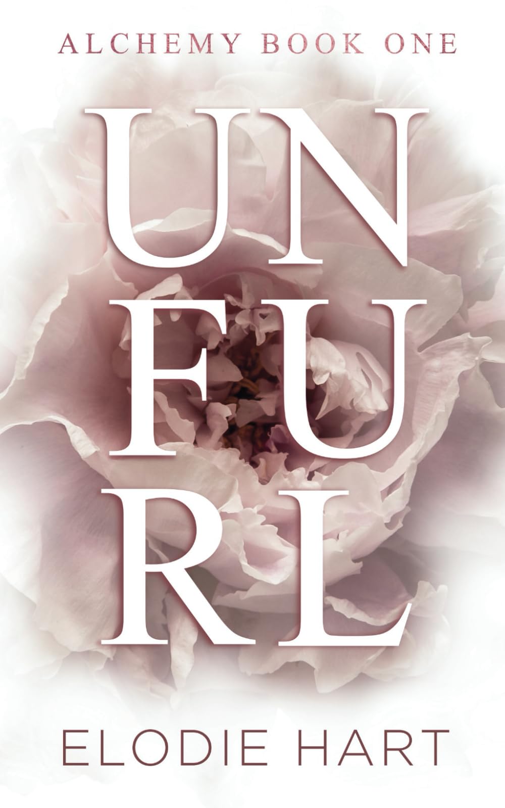 Unfurl: A Hot Age Gap Romance (Alchemy, Band 1) Eroticism