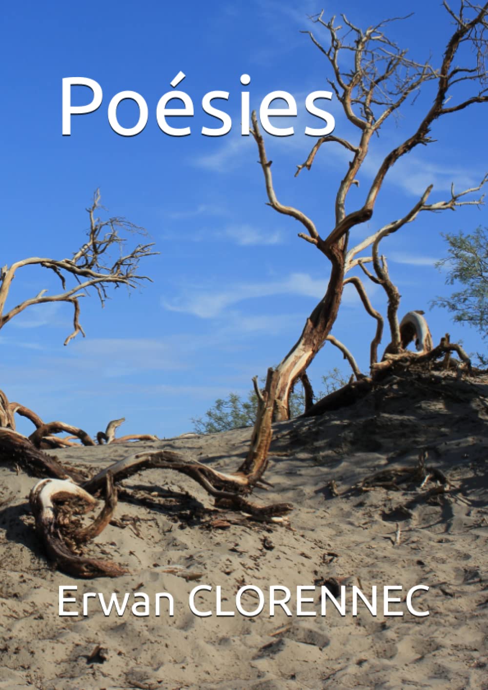 Poésies (1969 - 2022) book