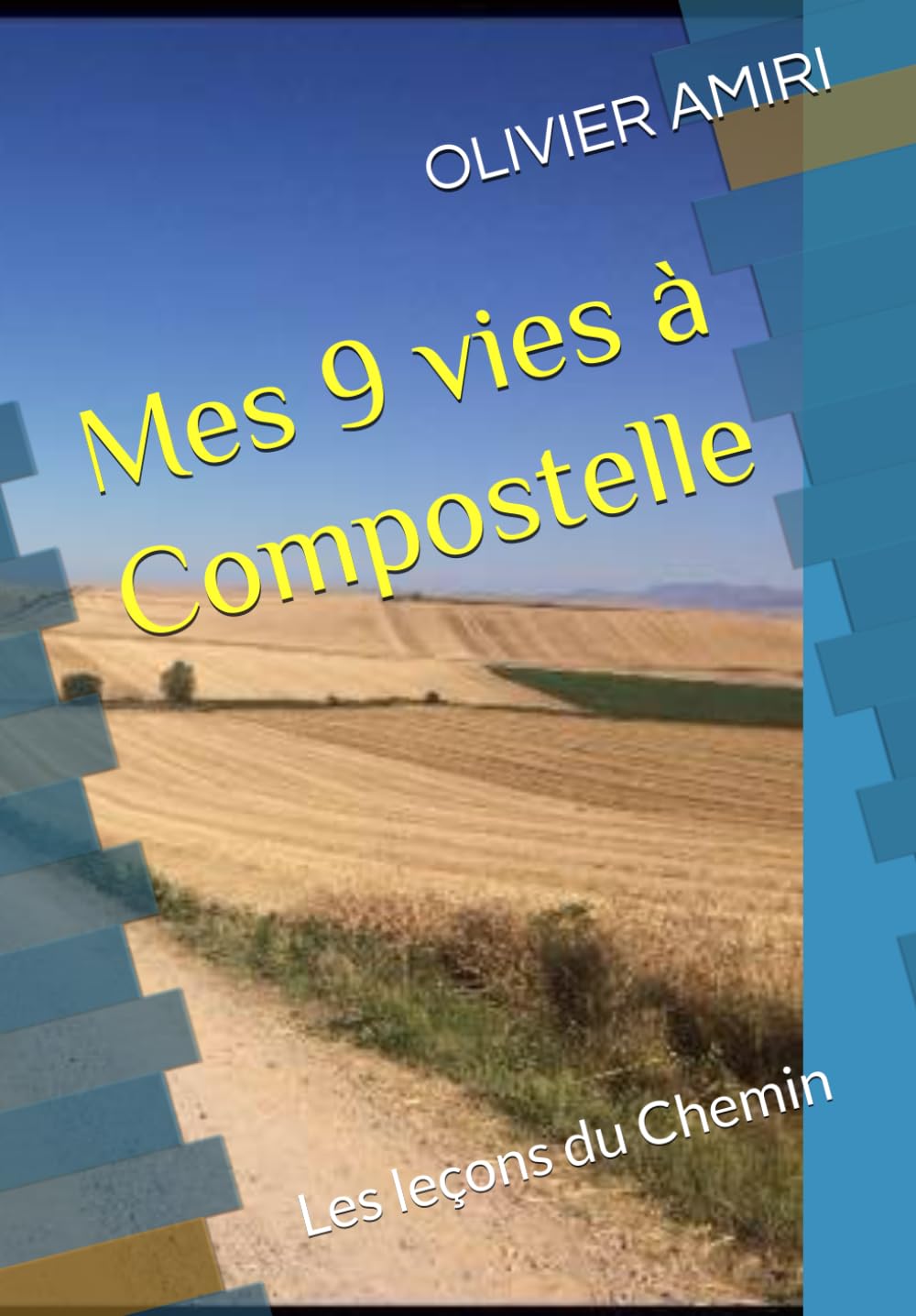 Mes 9 vies à Compostelle: Les leçons de vie du Chemin book